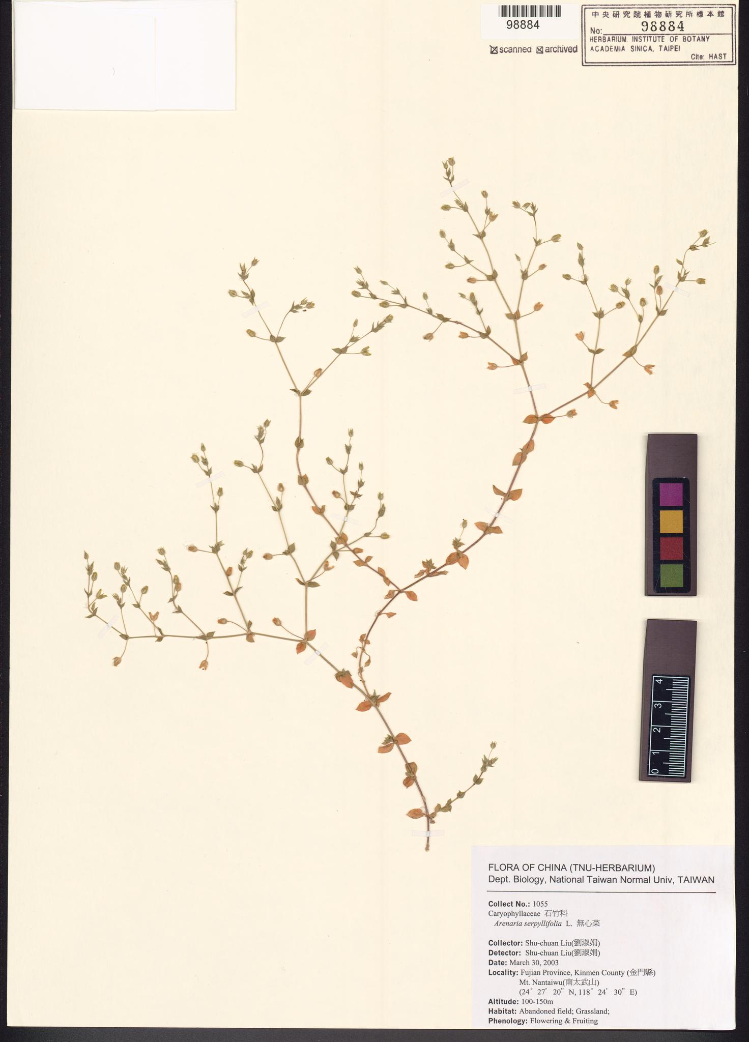 Sample image for viewer