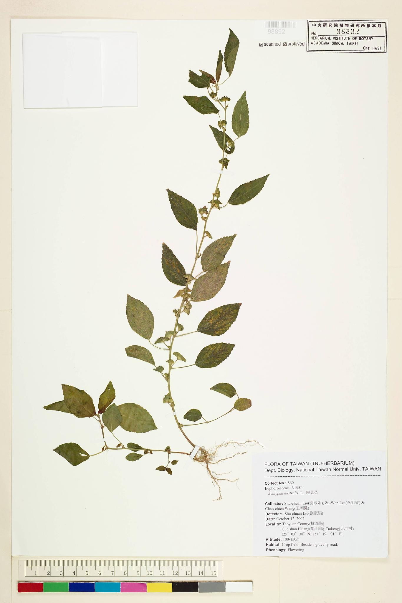 Sample image for viewer