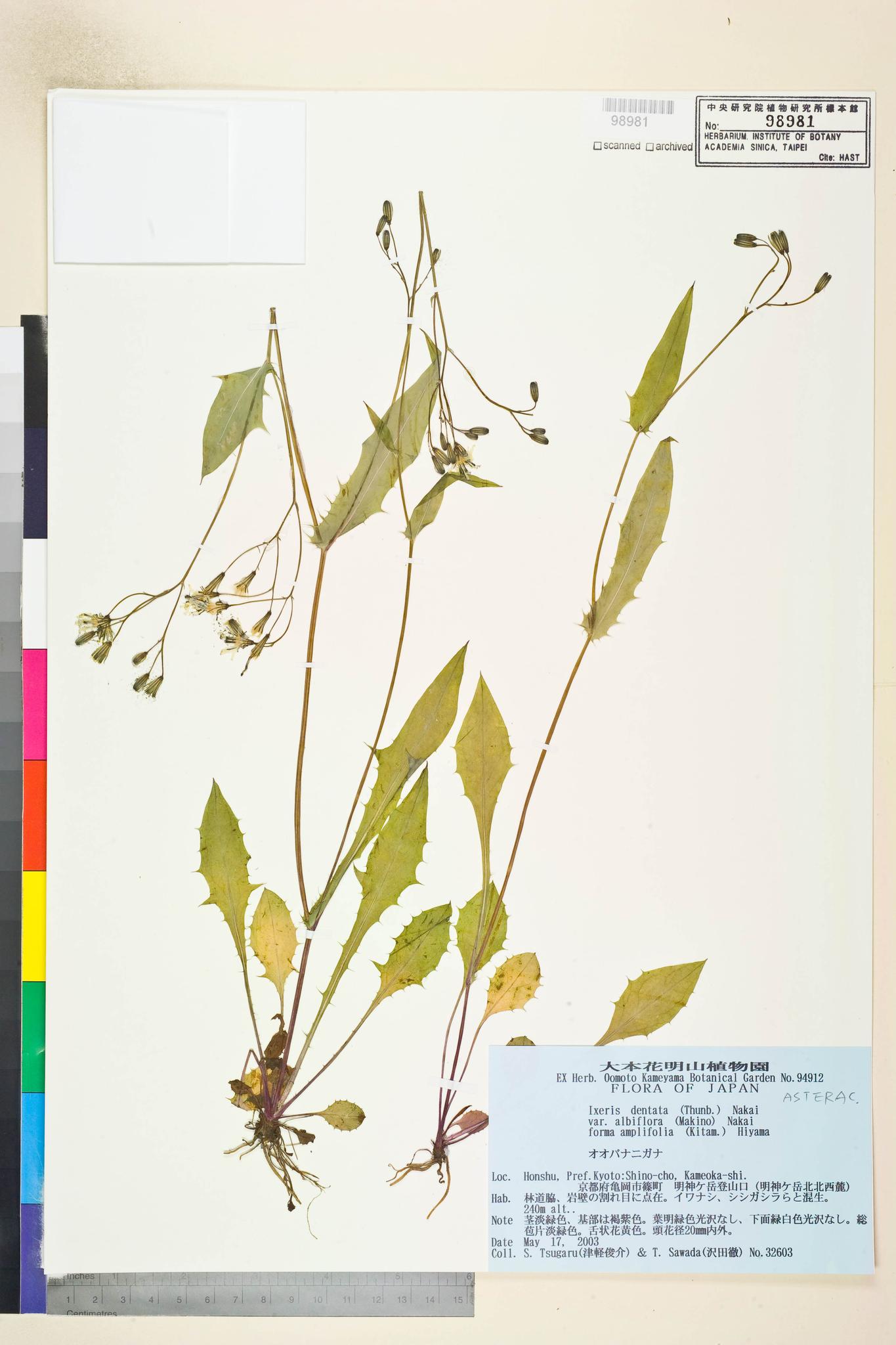 Specimen image