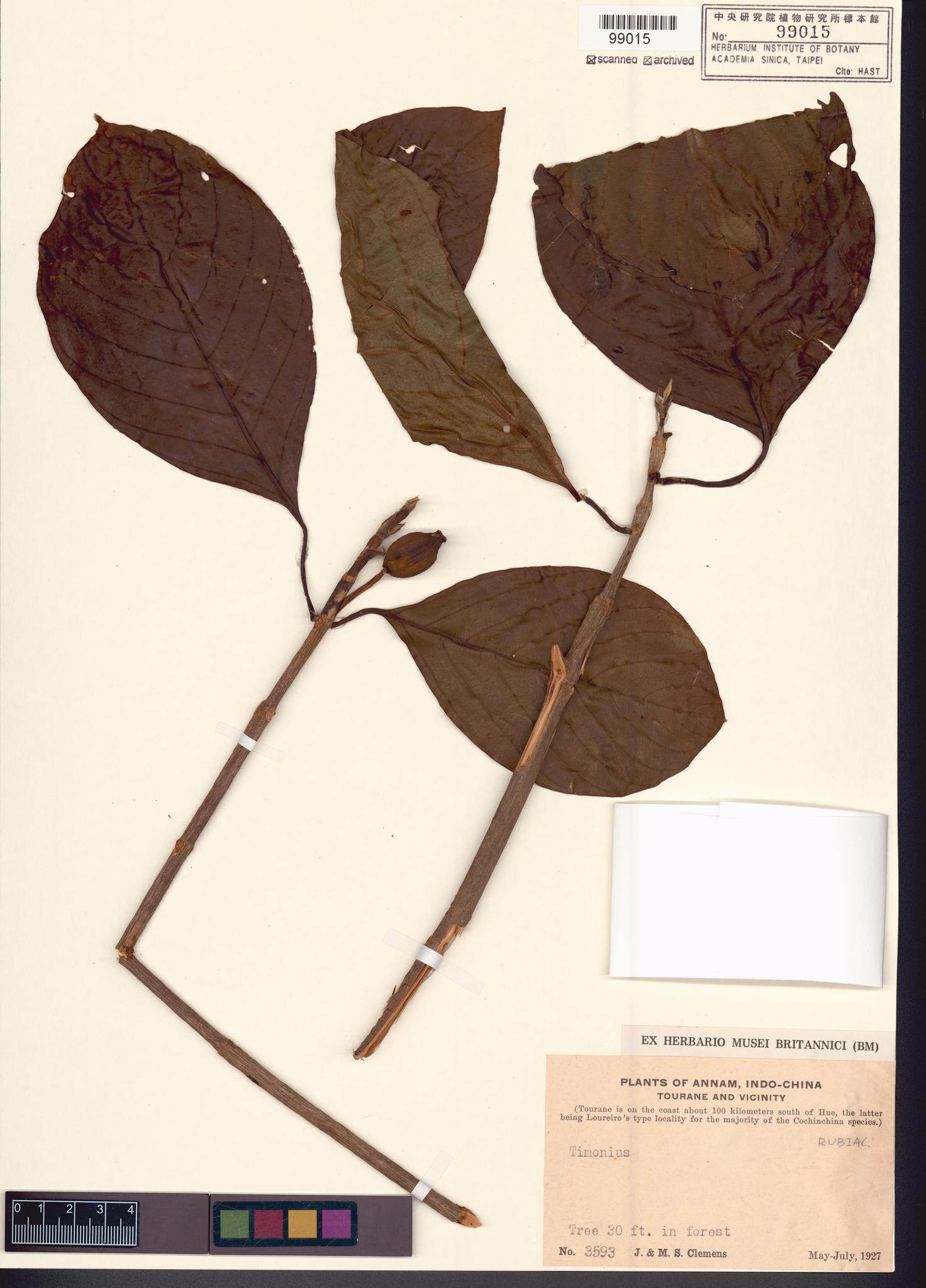 Sample image for viewer