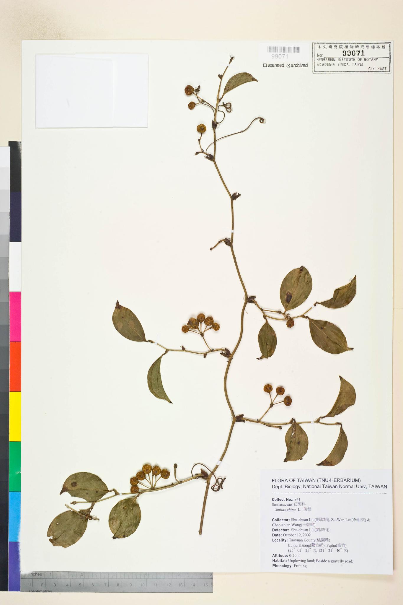 Specimen image