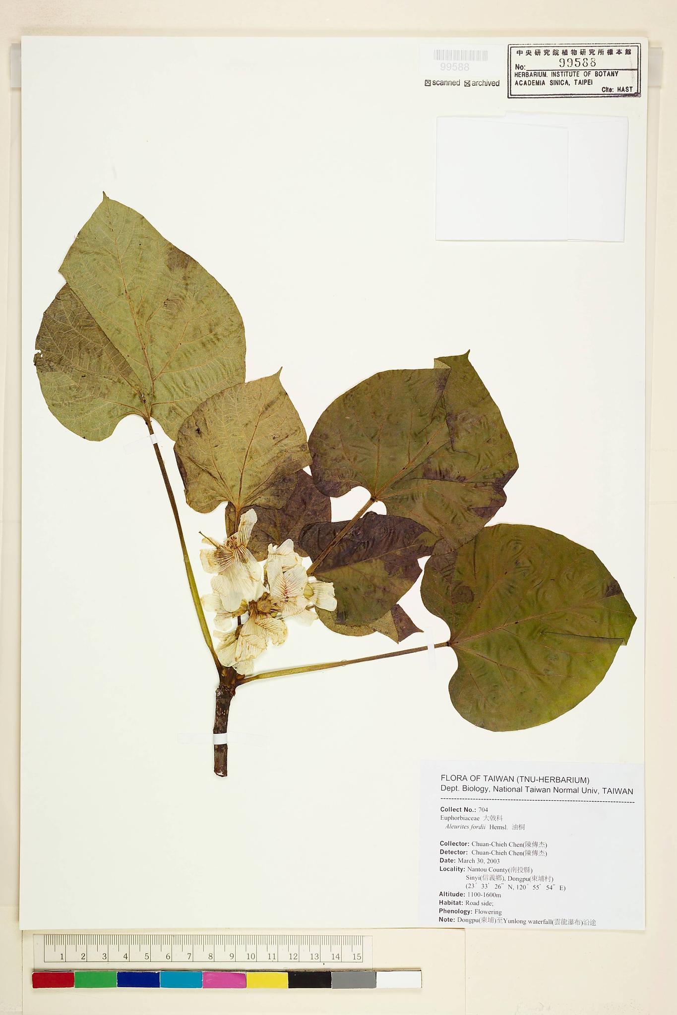 Sample image for viewer