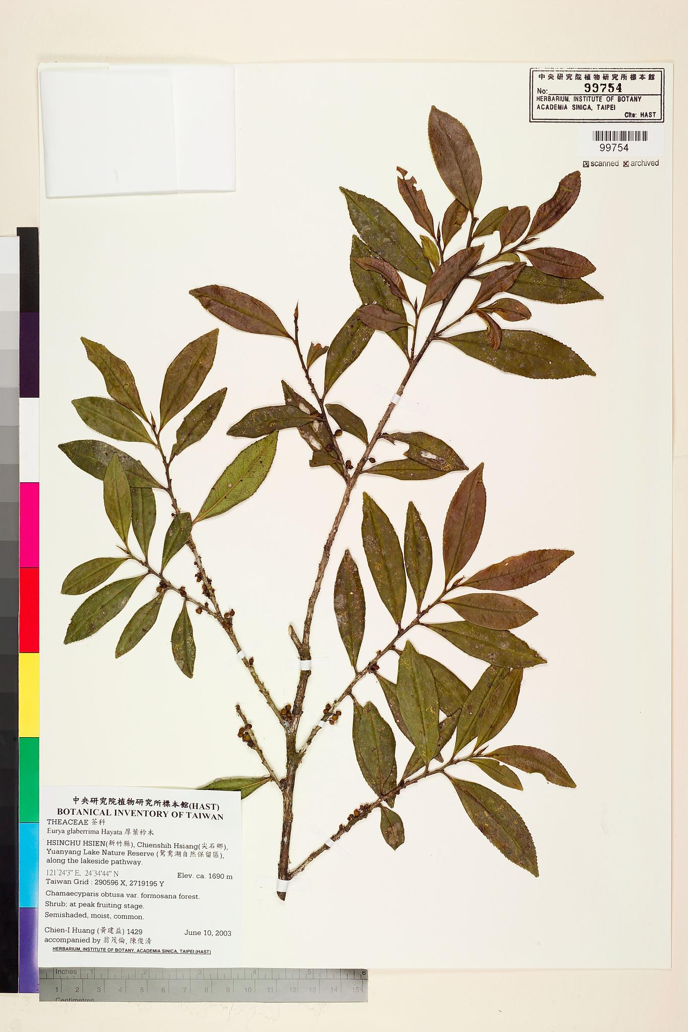 Sample image for viewer