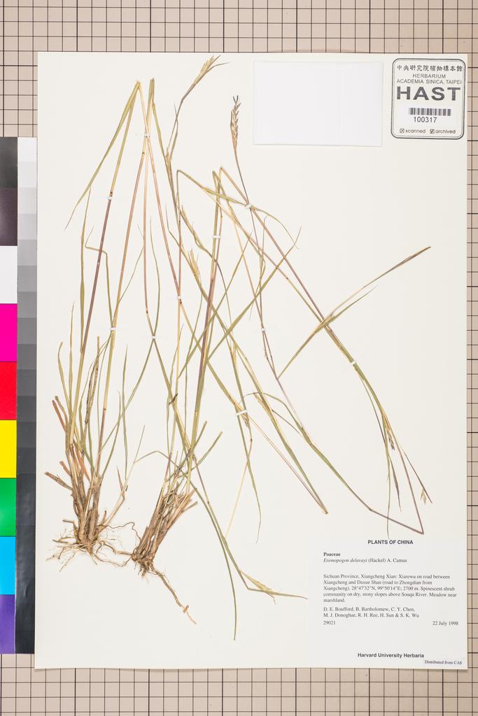 <Unit #110551 Boufford, D. E. |  | 29021:: | Eremopogon delavayi (Hack.) A. Camus>