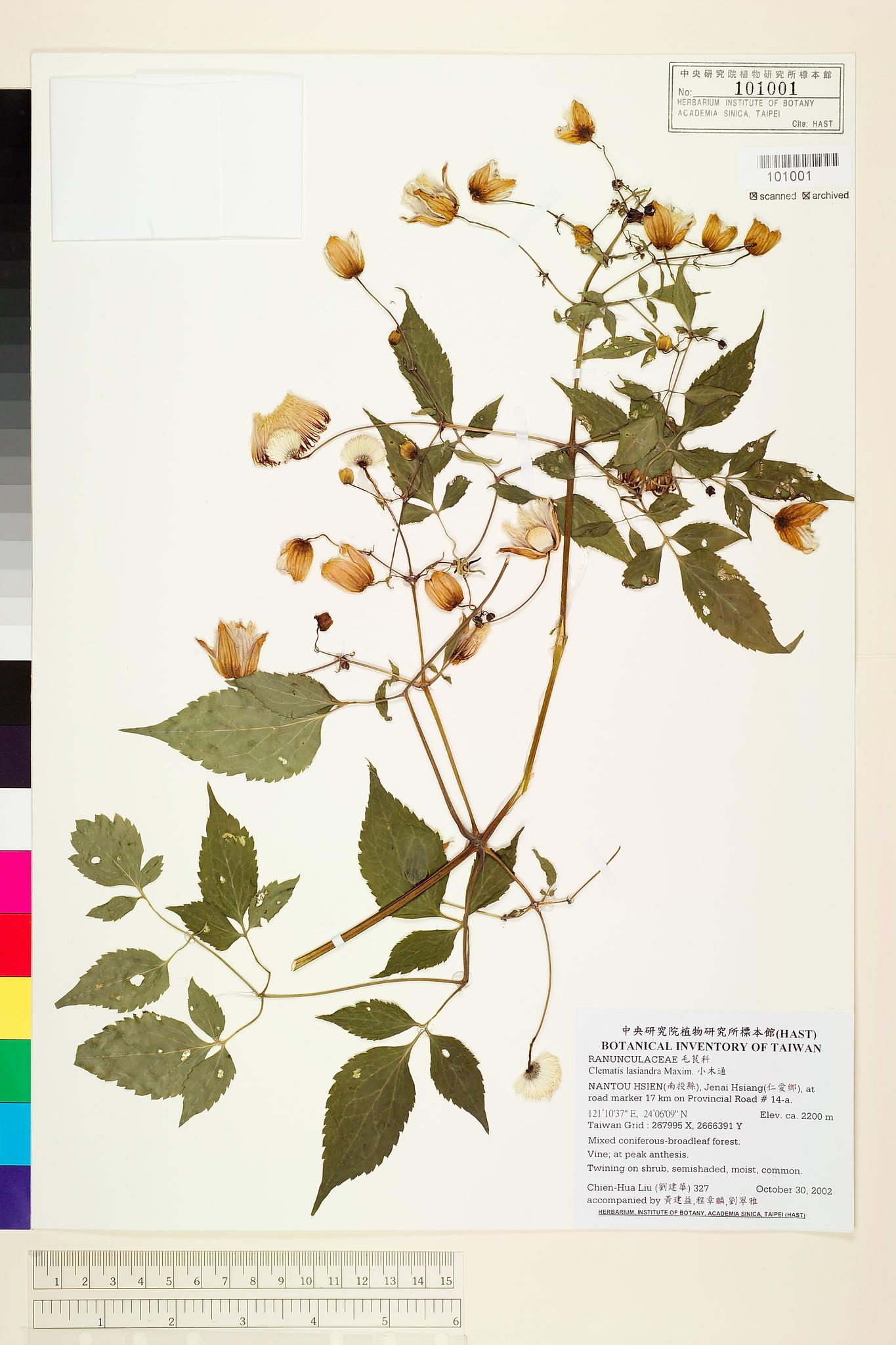 Sample image for viewer