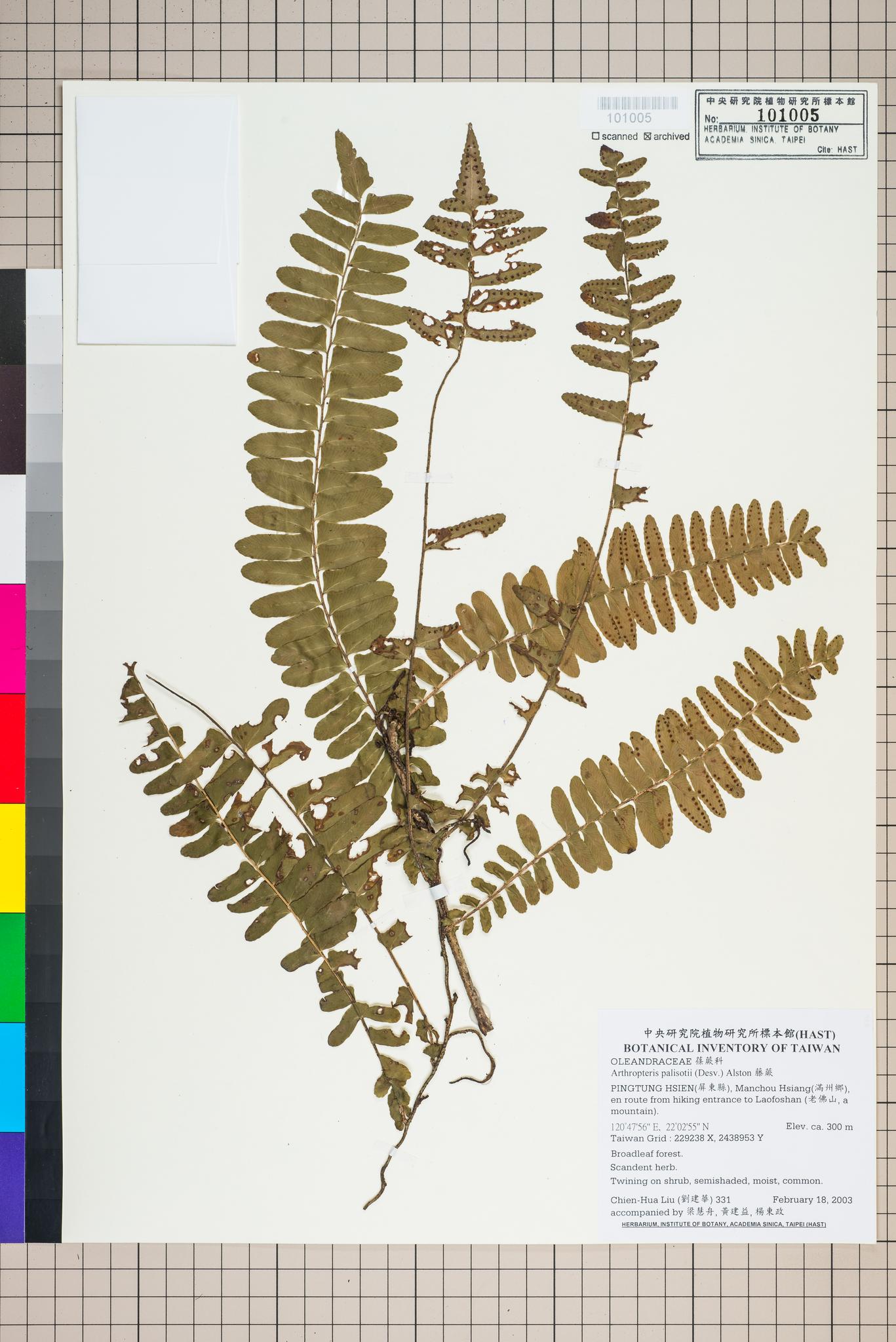 Sample image for viewer