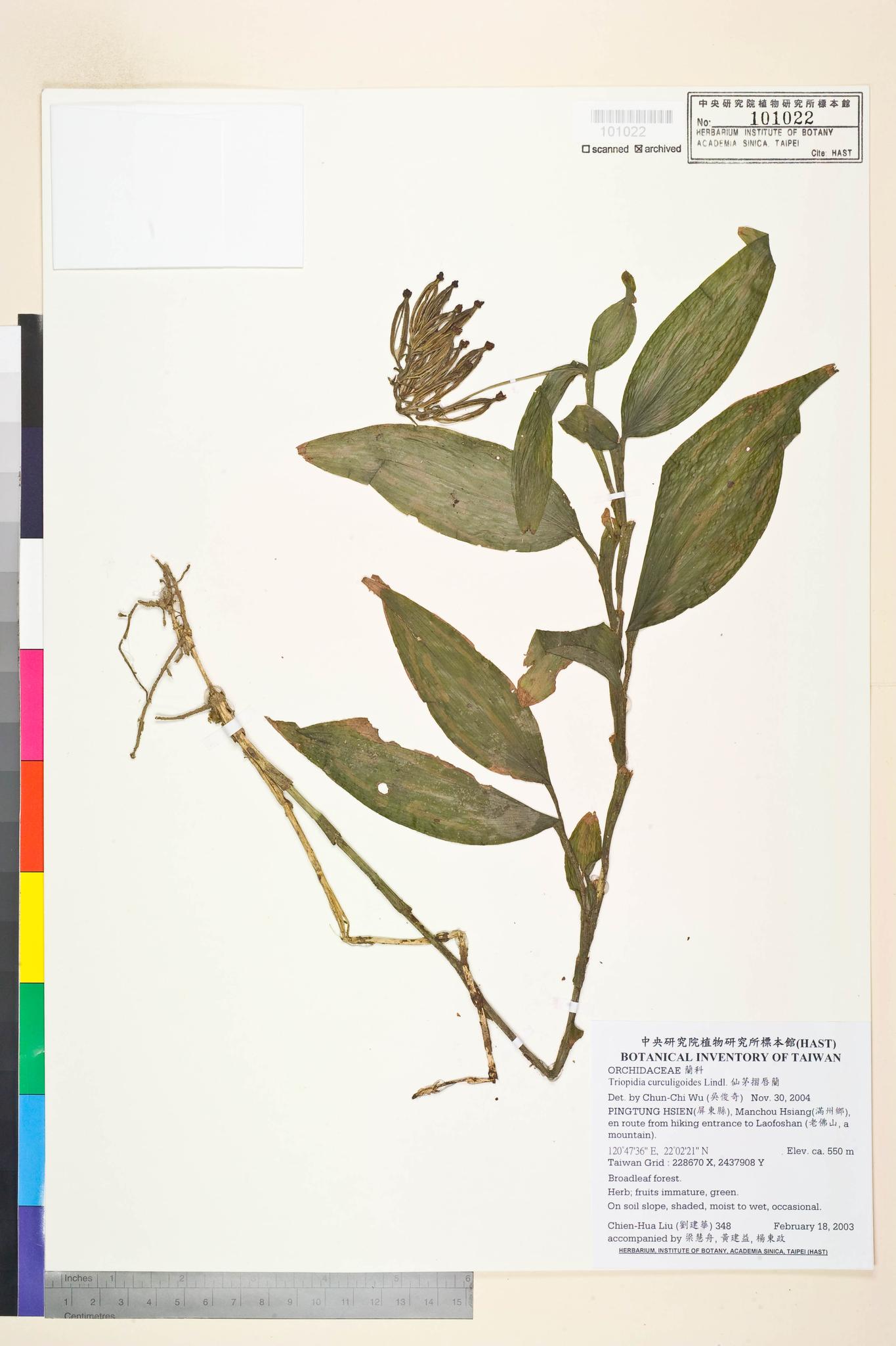 Sample image for viewer