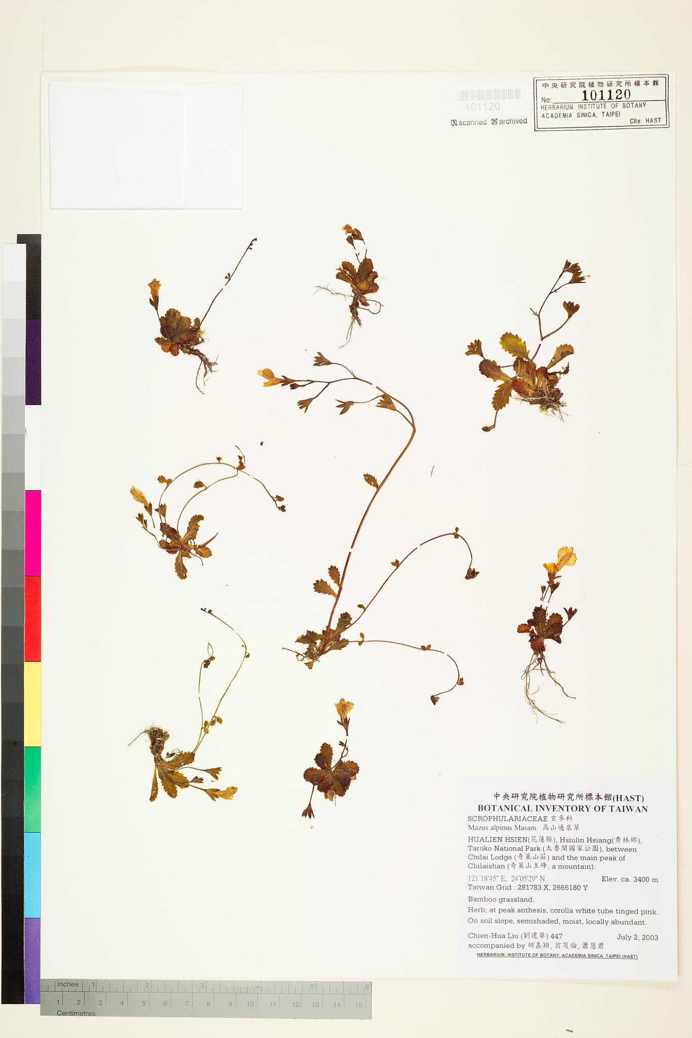 Sample image for viewer