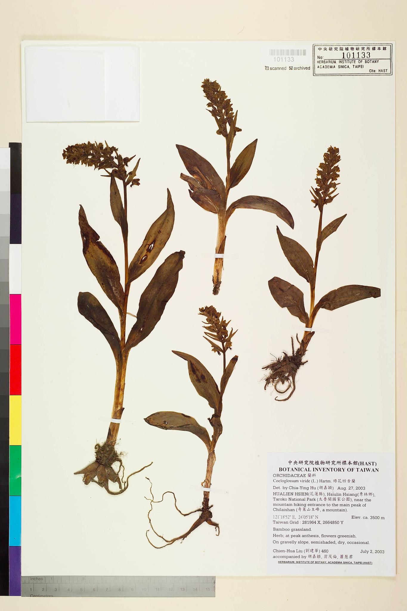 Sample image for viewer