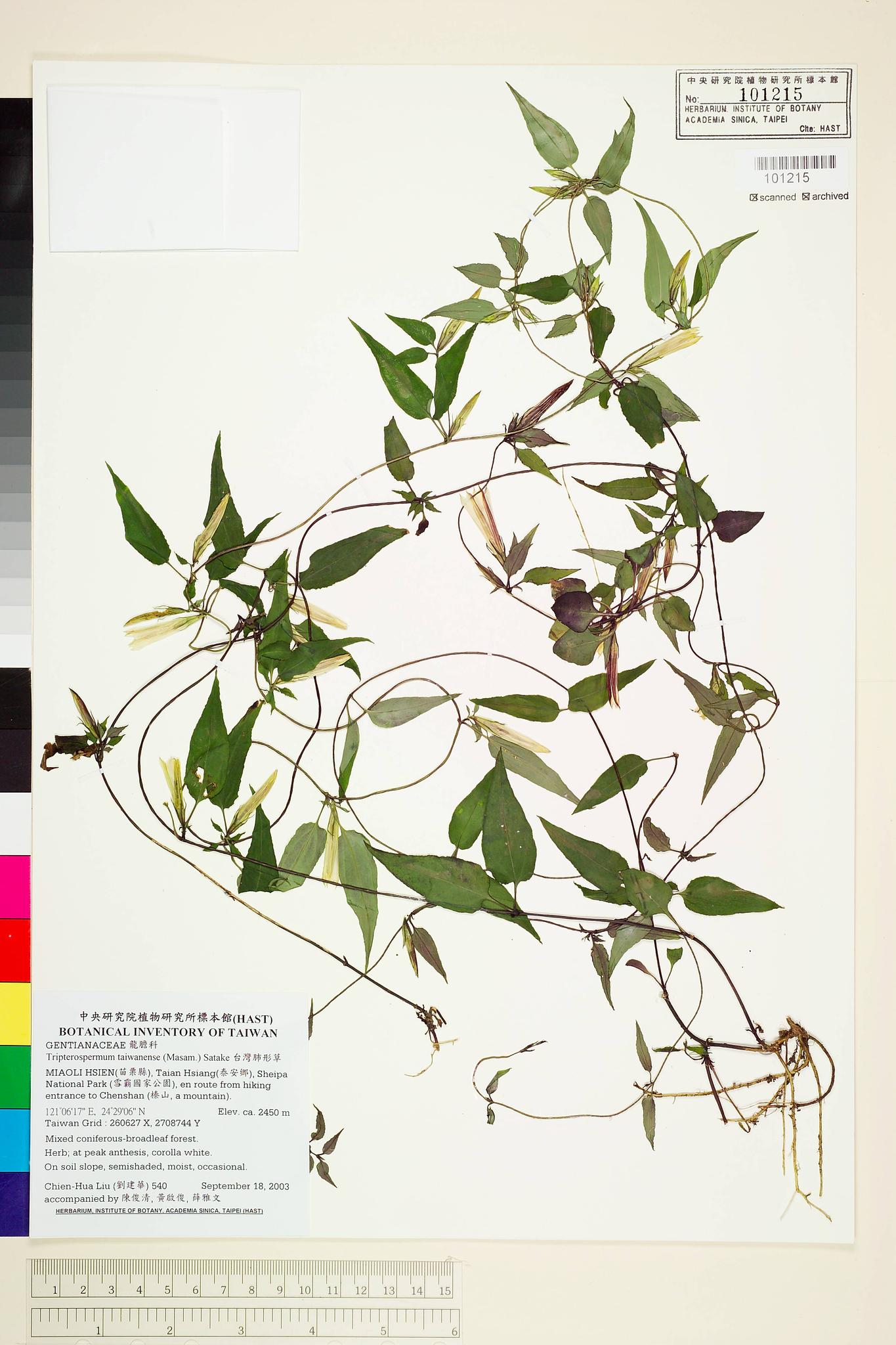 Sample image for viewer