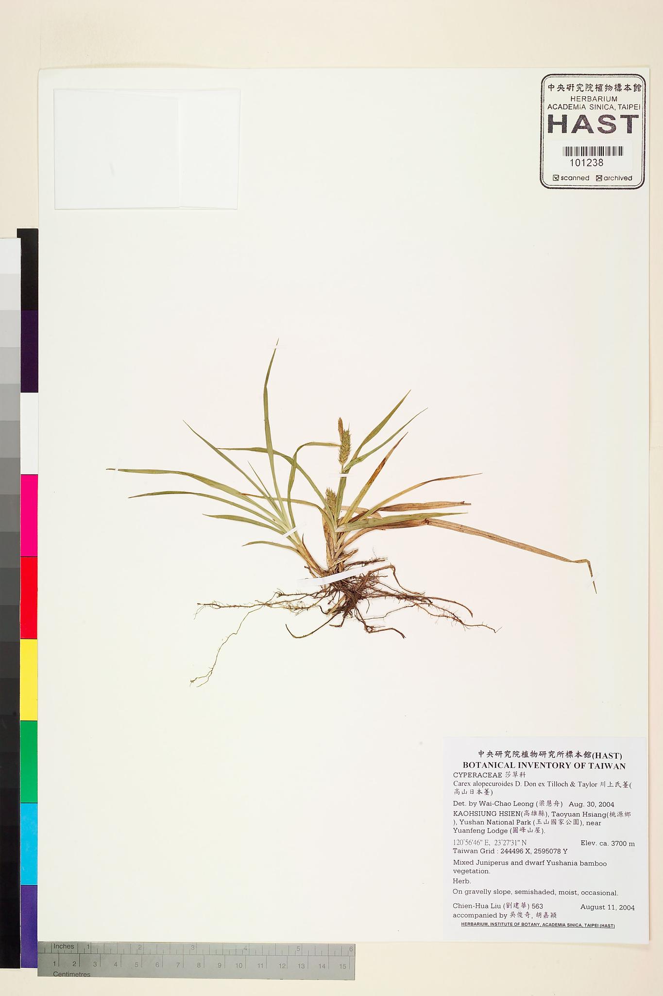 Sample image for viewer