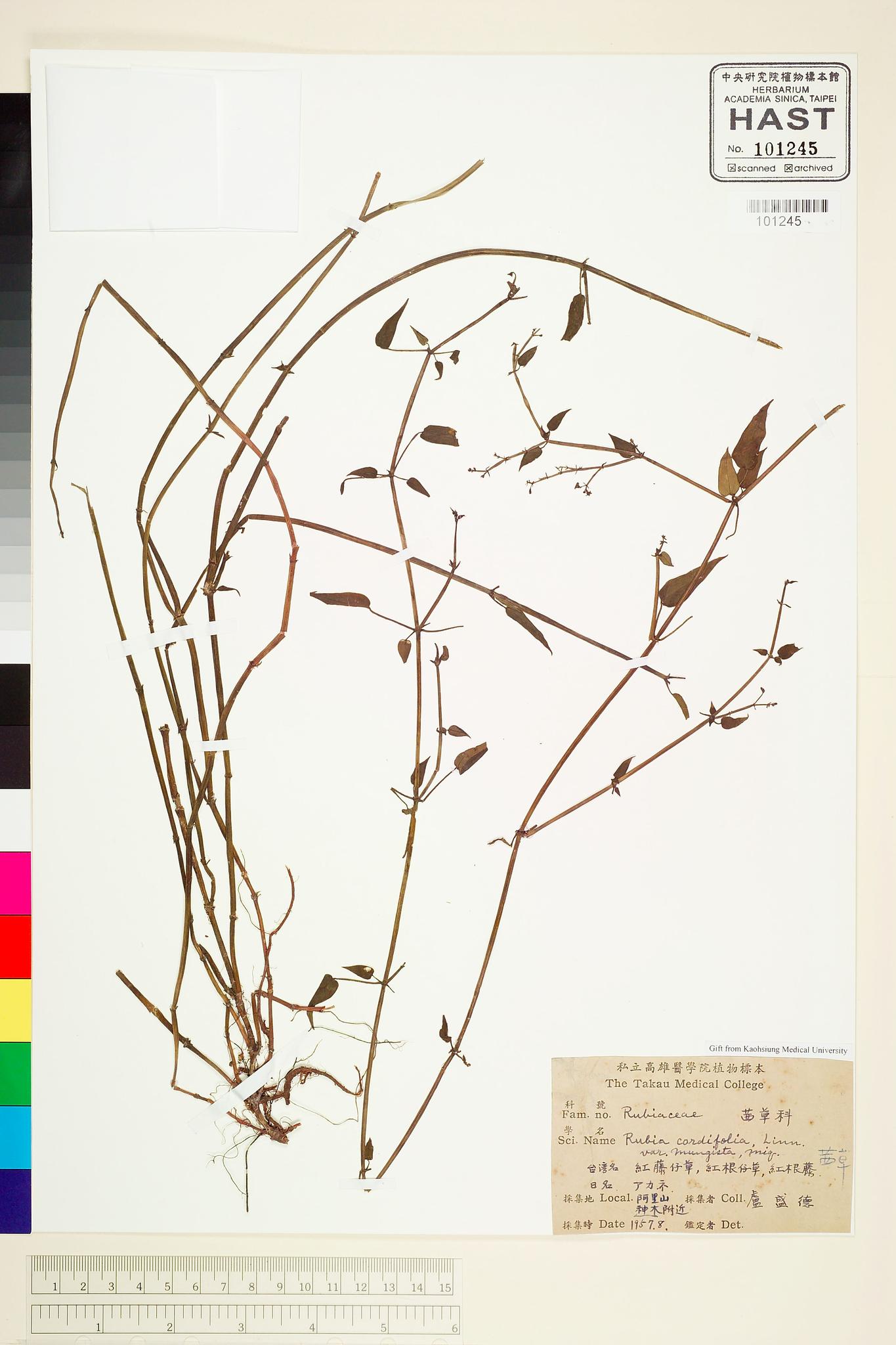 Sample image for viewer