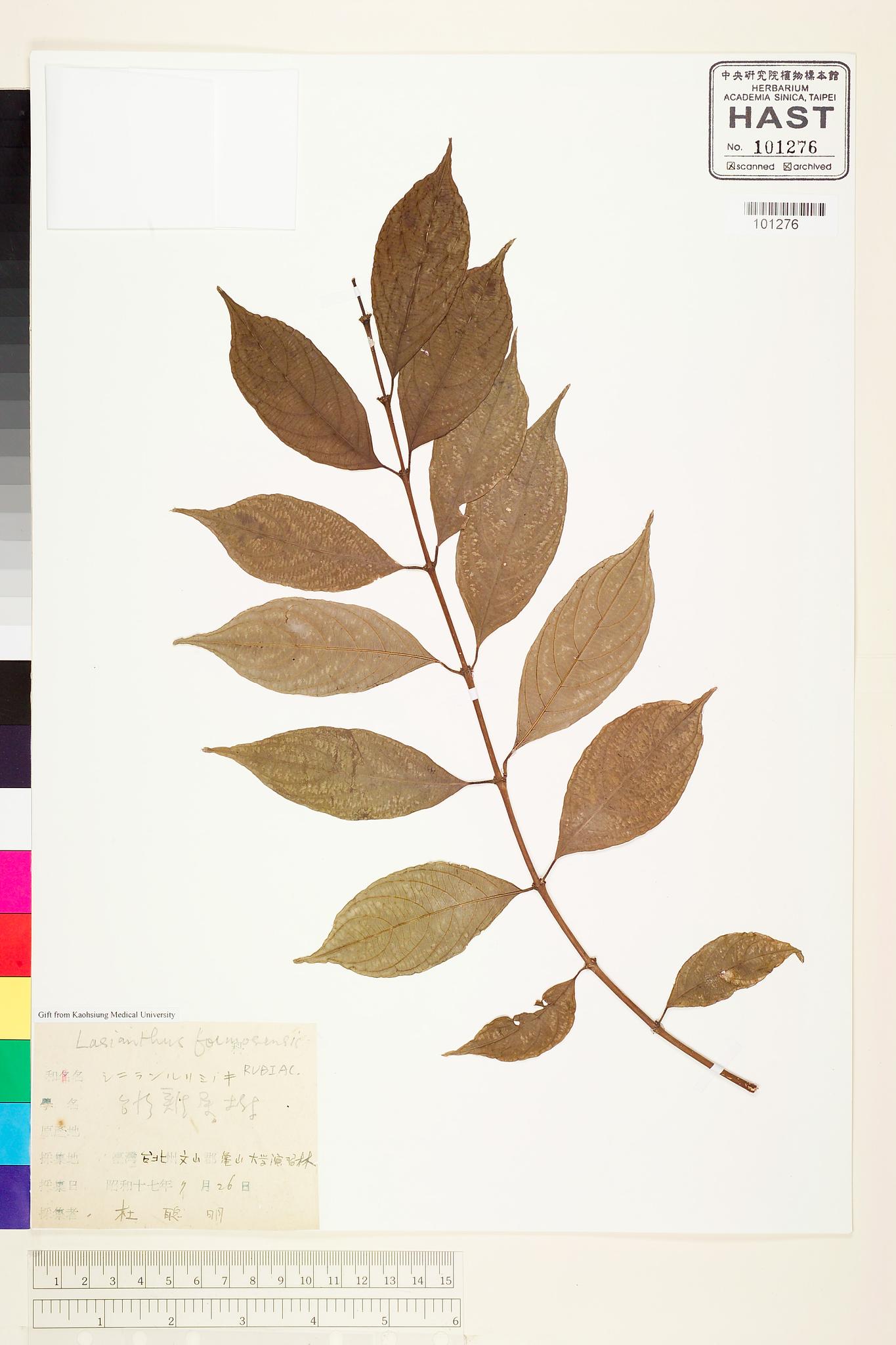 Sample image for viewer