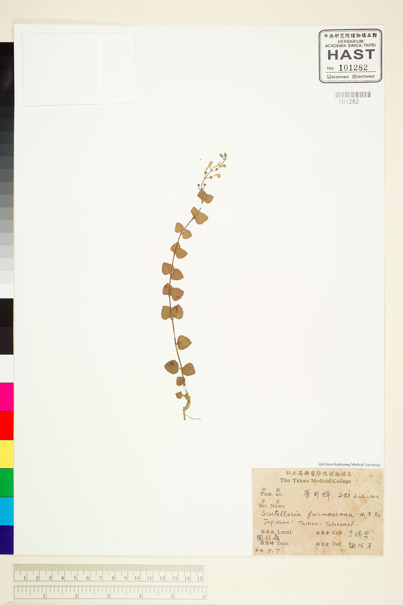 Sample image for viewer