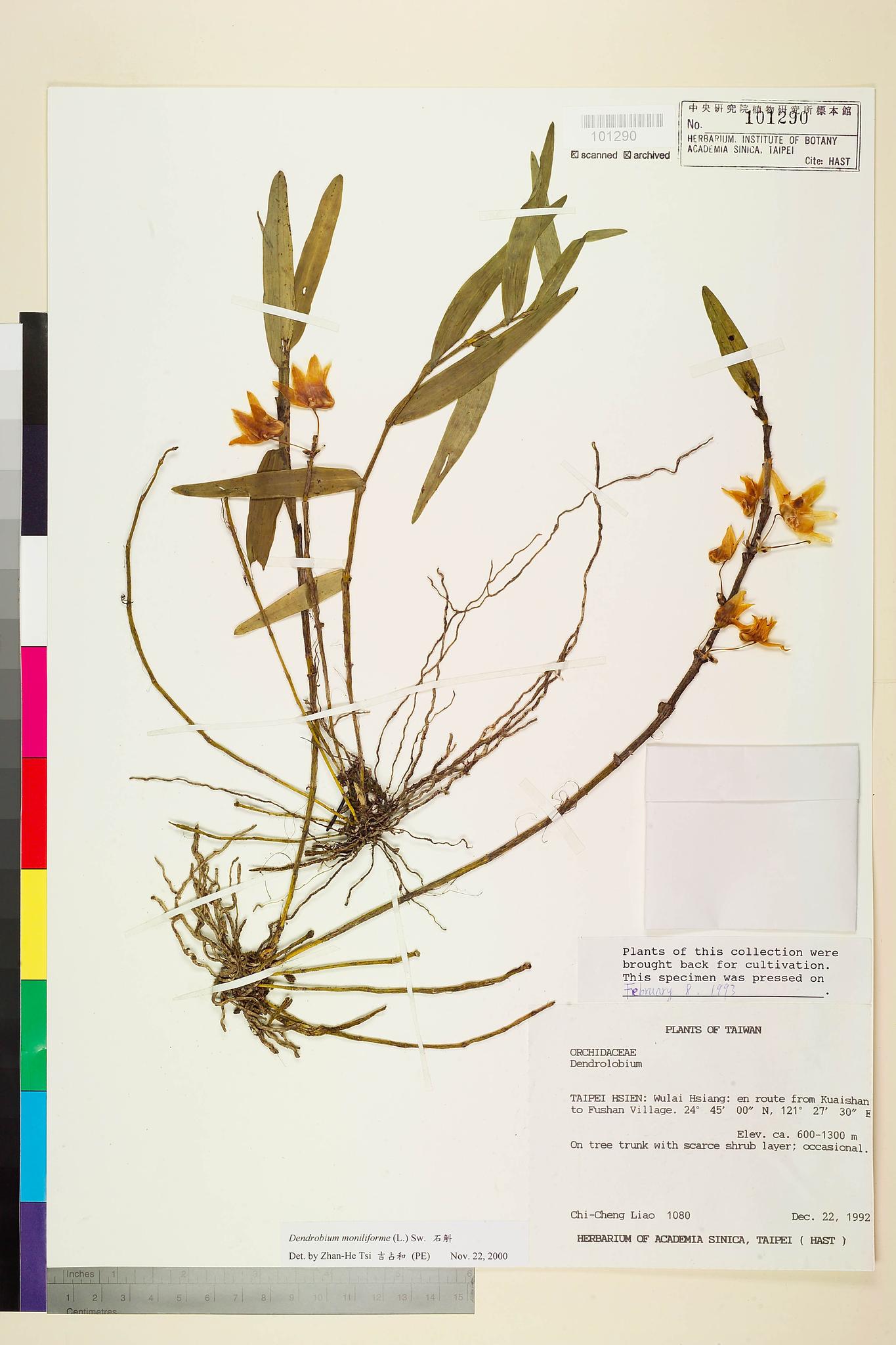 Sample image for viewer