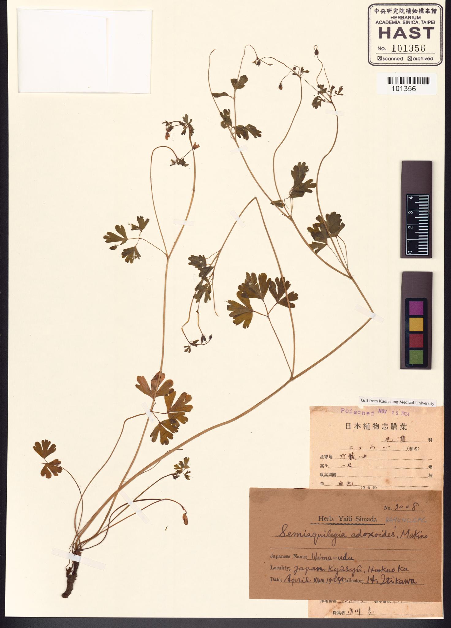 Sample image for viewer