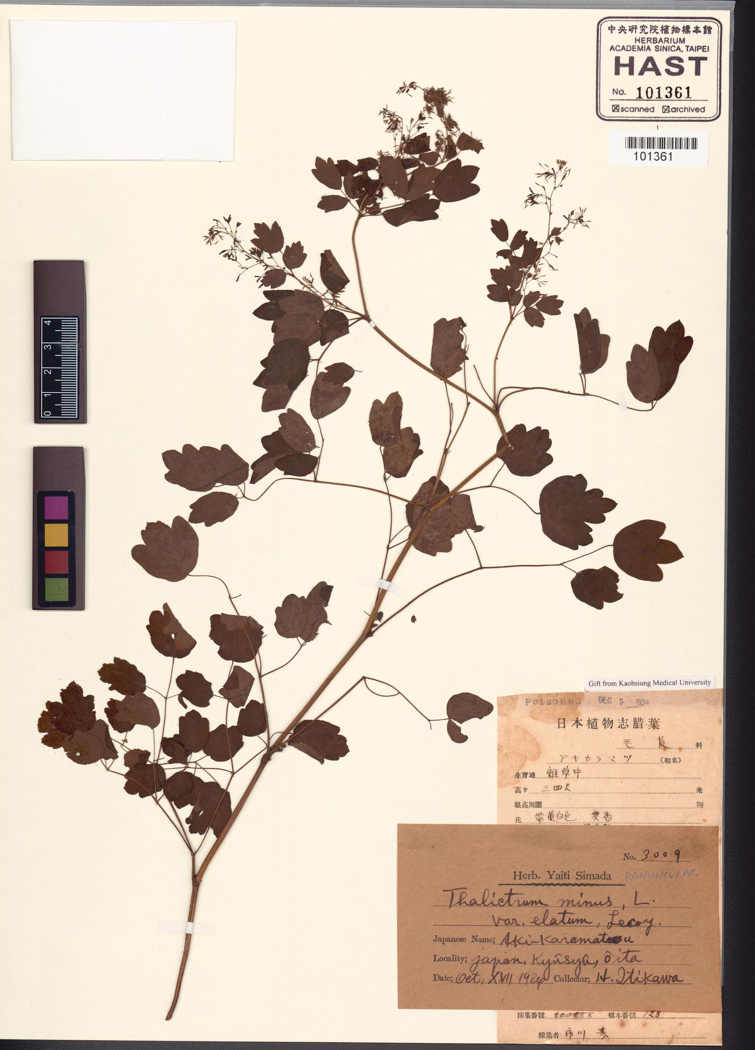 Sample image for viewer