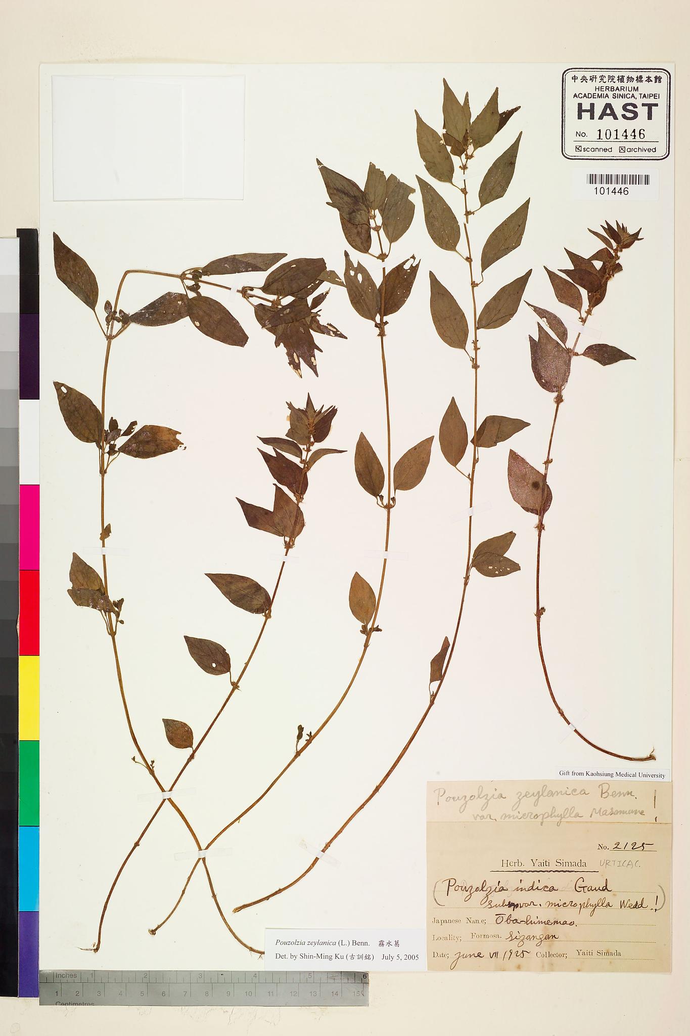 Sample image for viewer