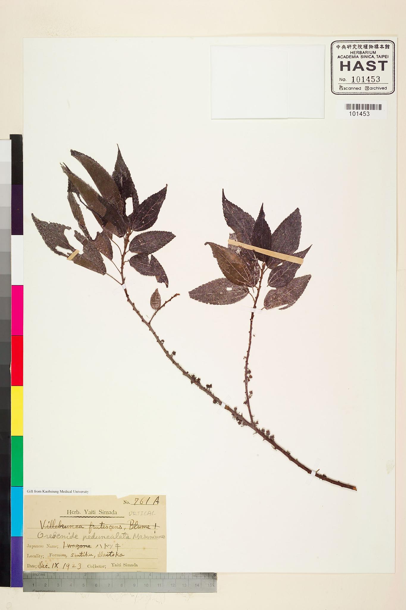 Sample image for viewer