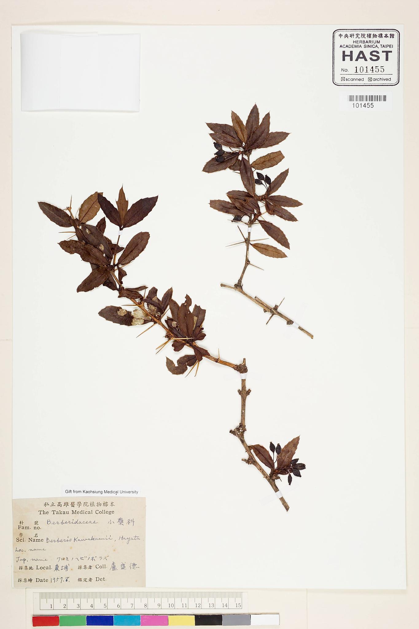 Sample image for viewer