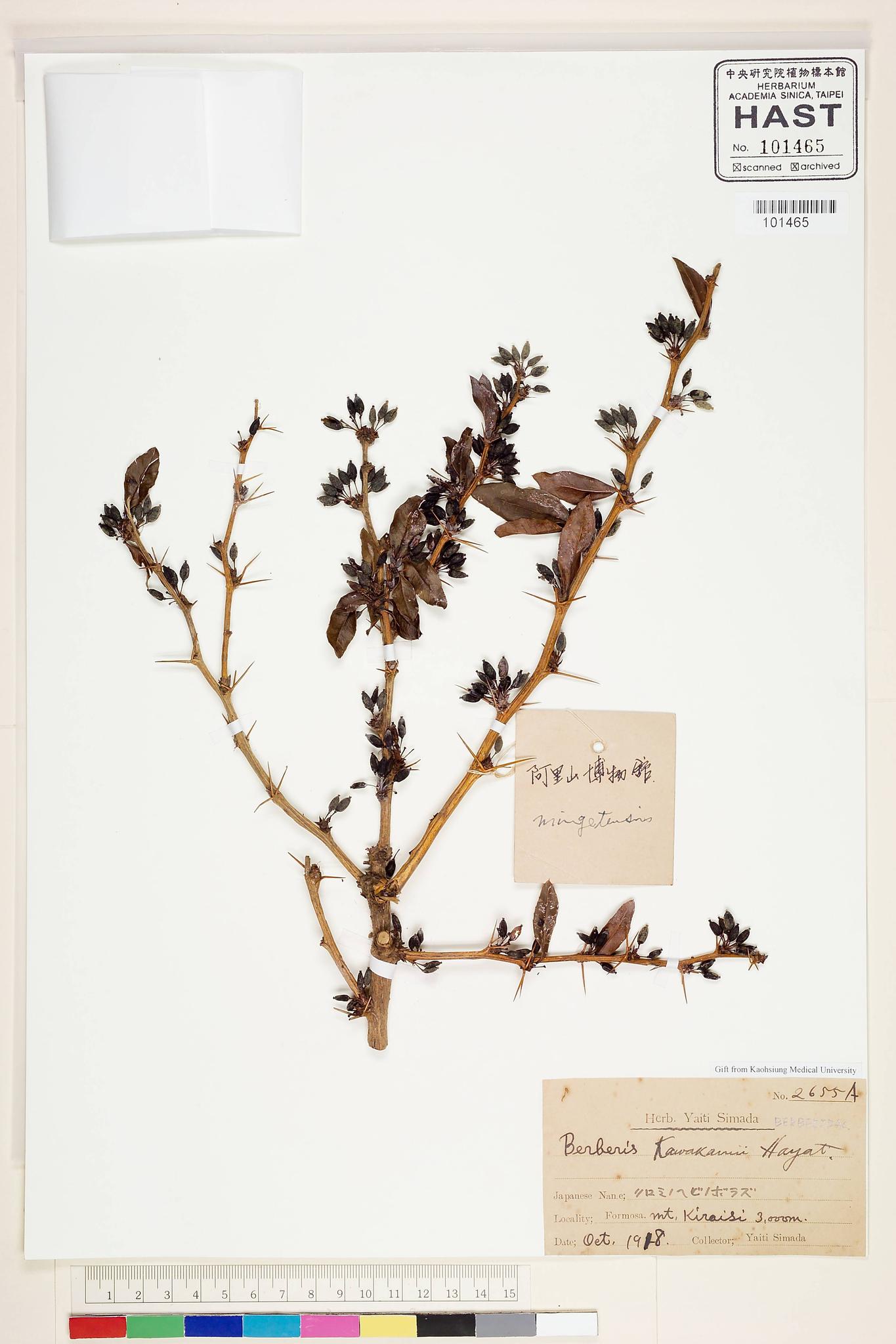 Sample image for viewer