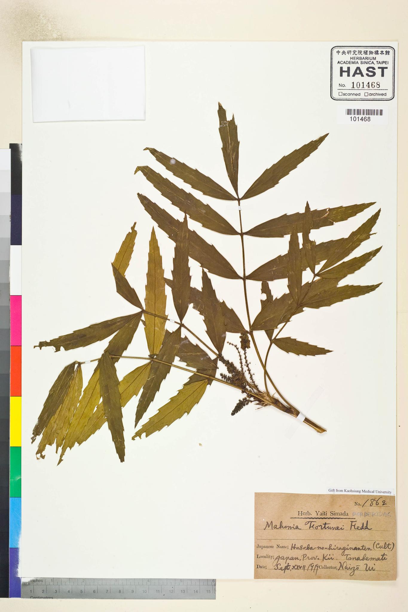 Sample image for viewer