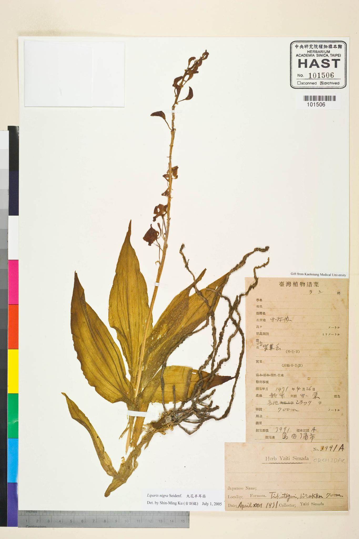 Sample image for viewer