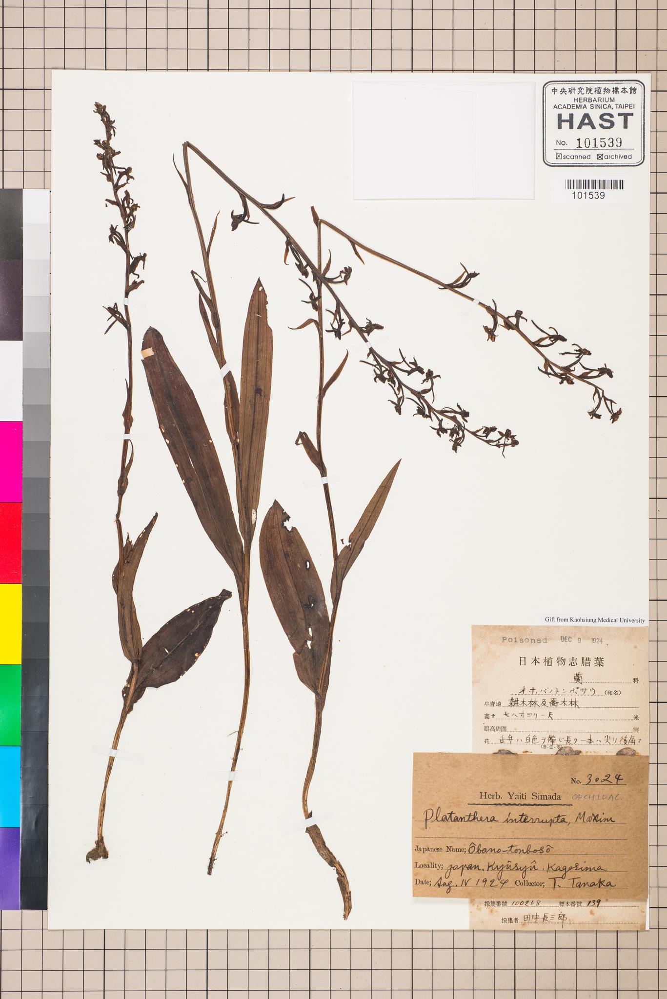 Sample image for viewer