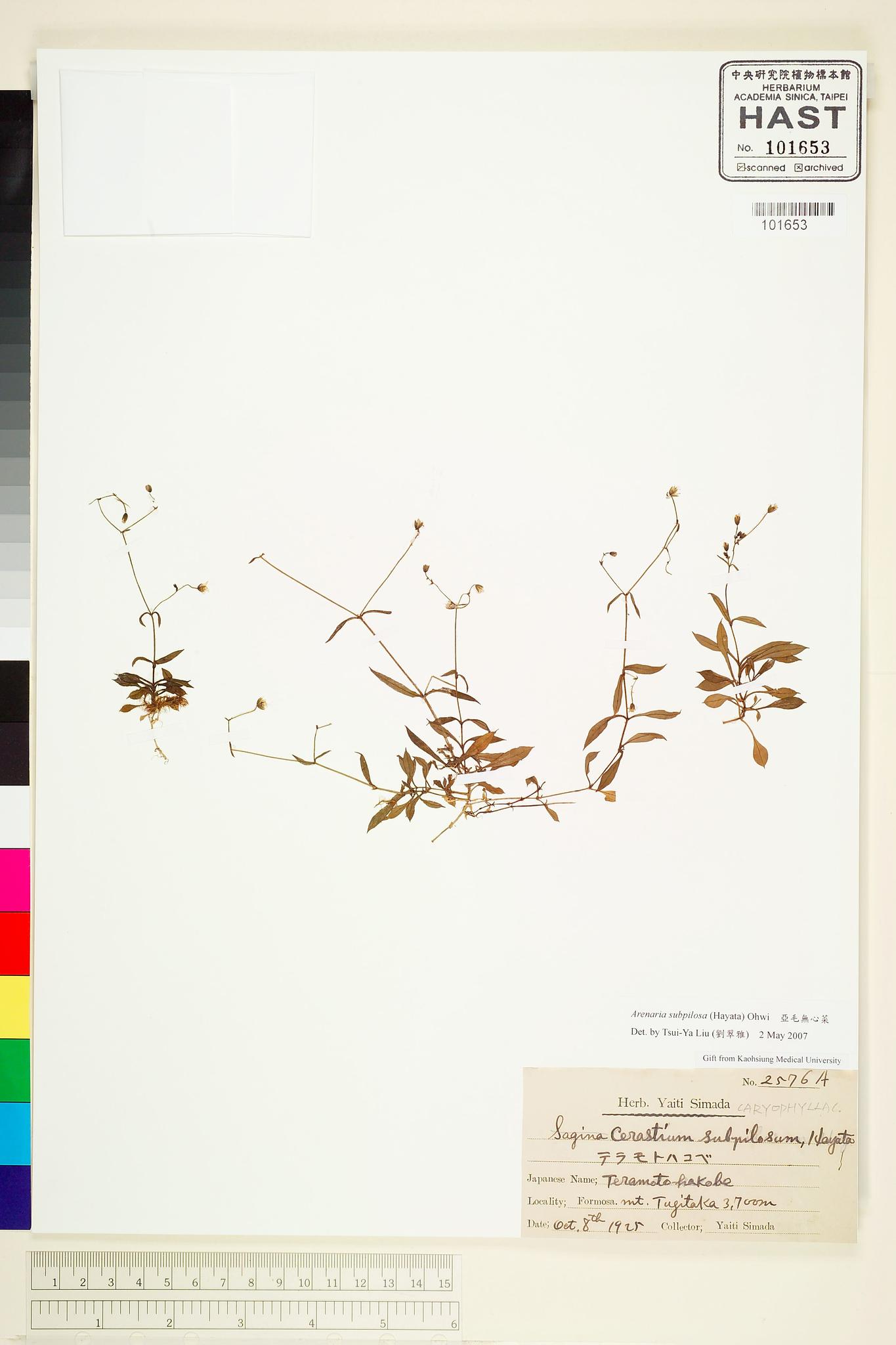 Sample image for viewer