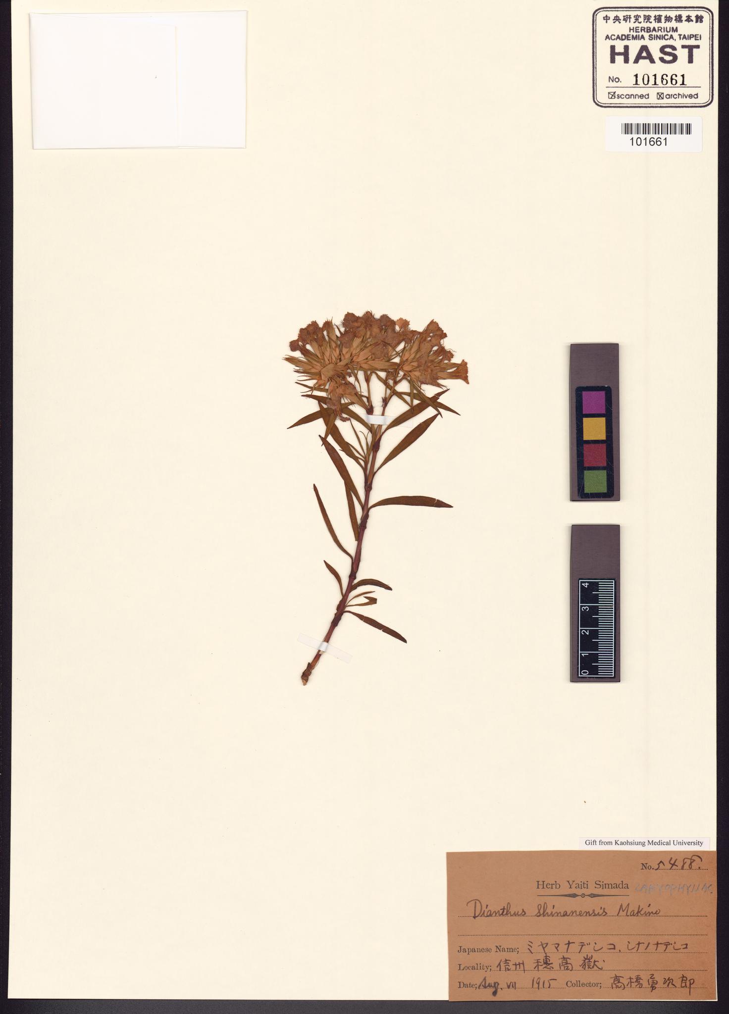 Sample image for viewer