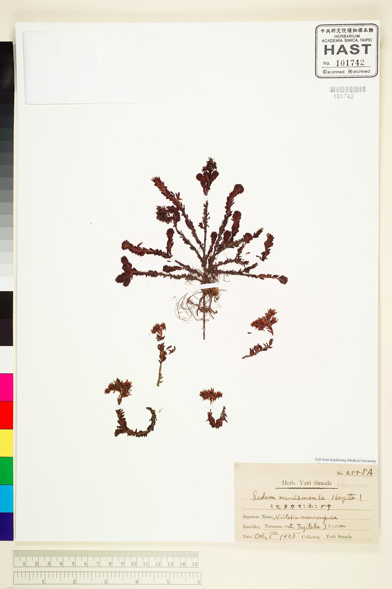 Sample image for viewer