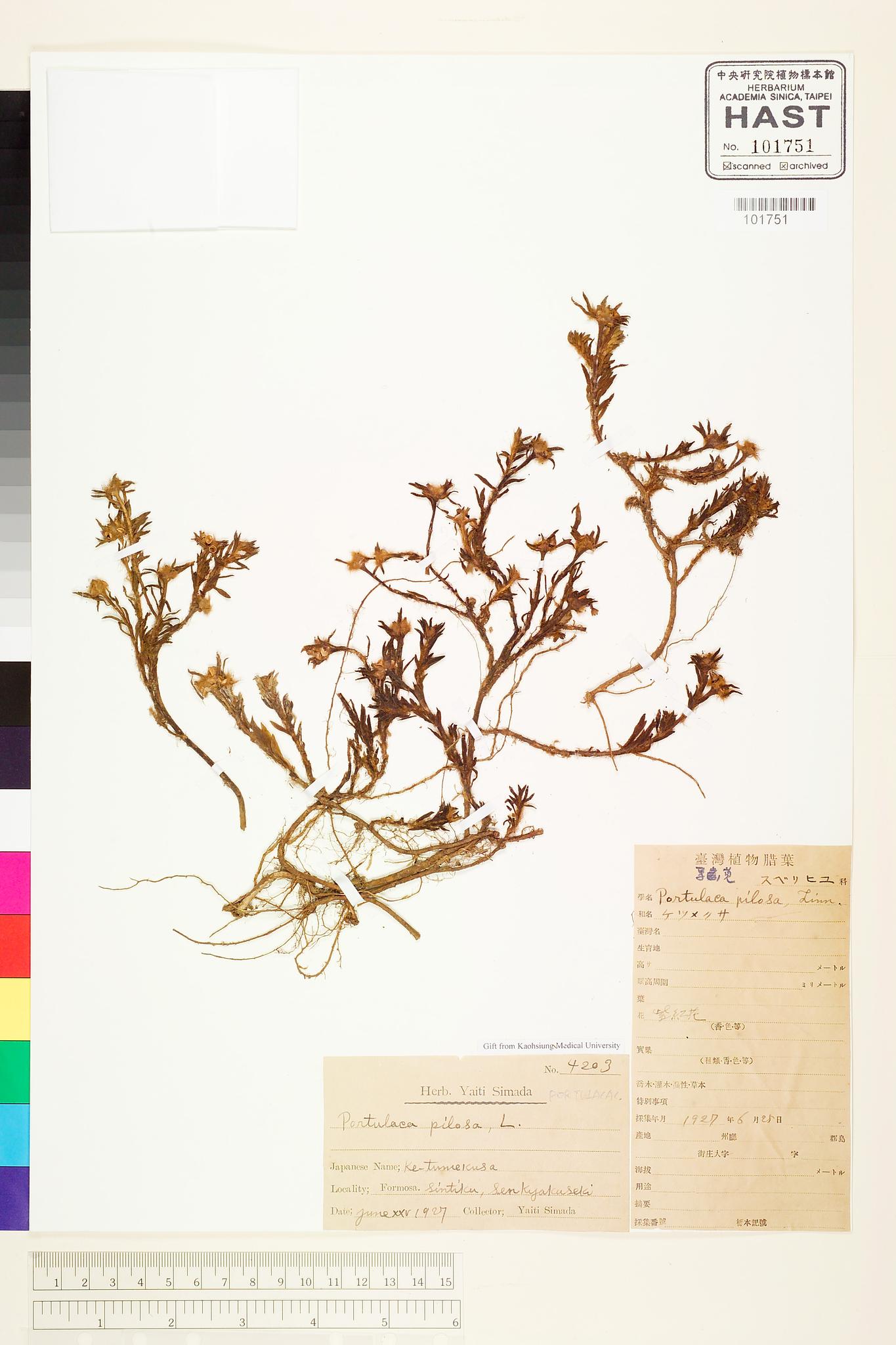 Sample image for viewer