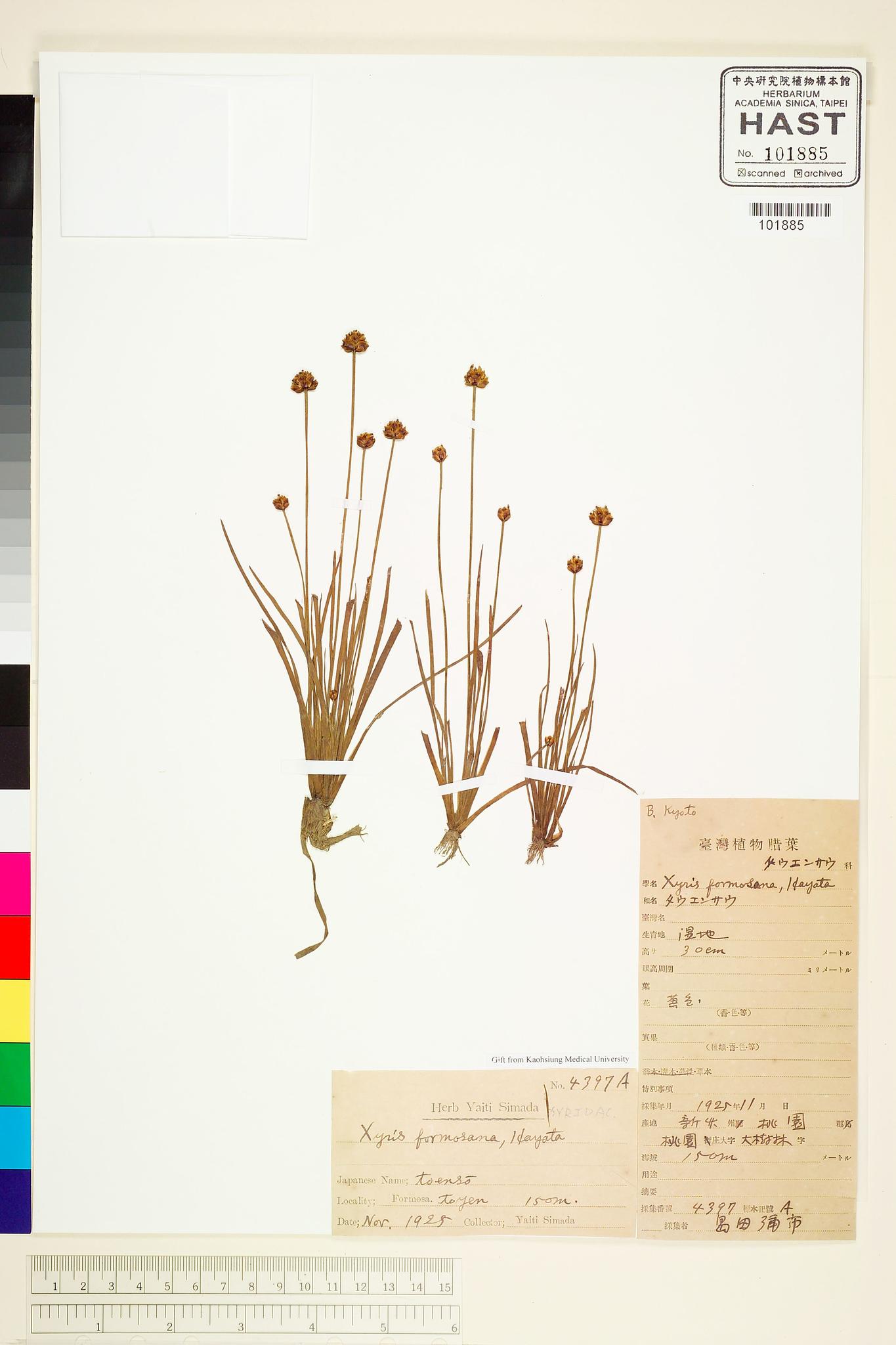 Sample image for viewer