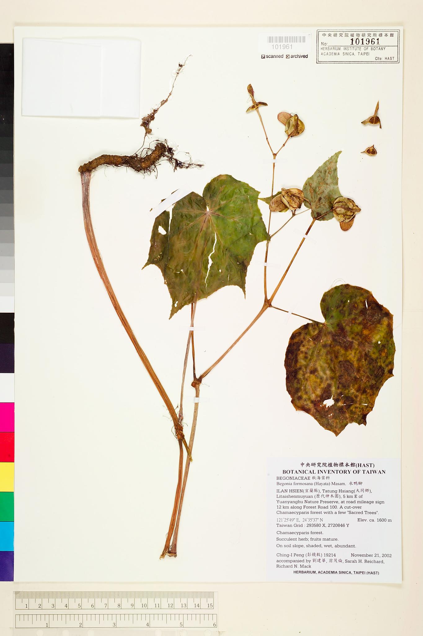 Sample image for viewer