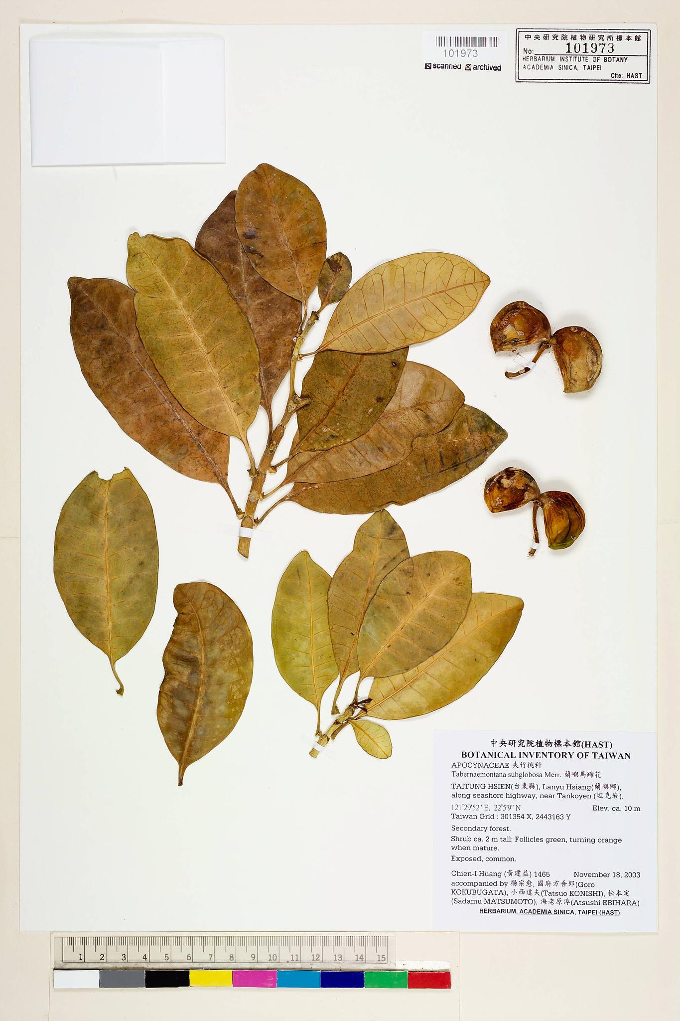 Sample image for viewer