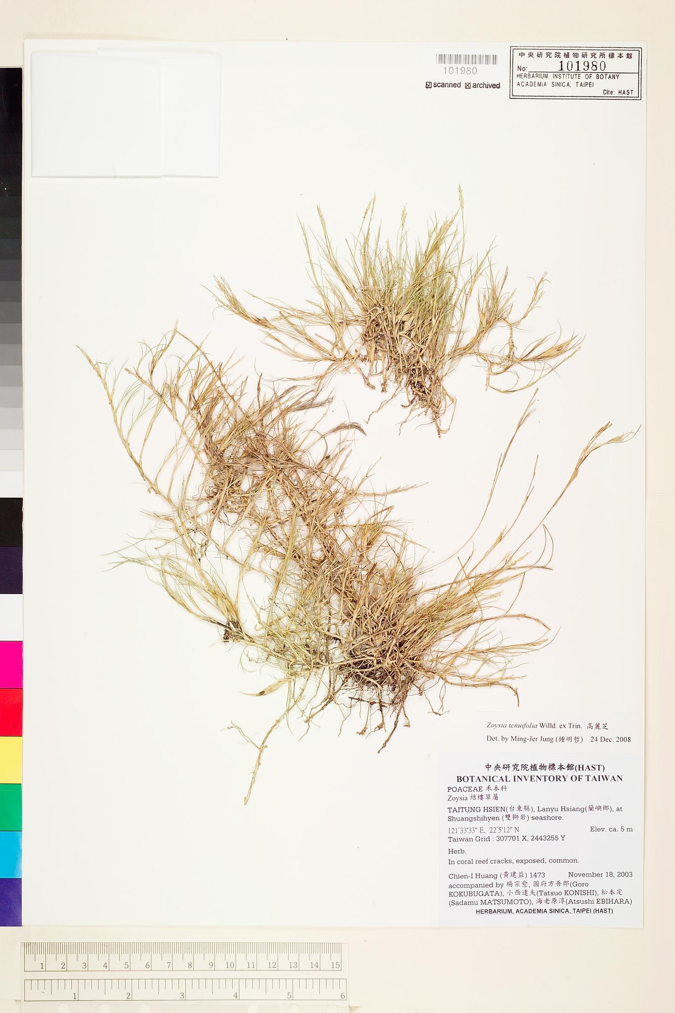 Sample image for viewer