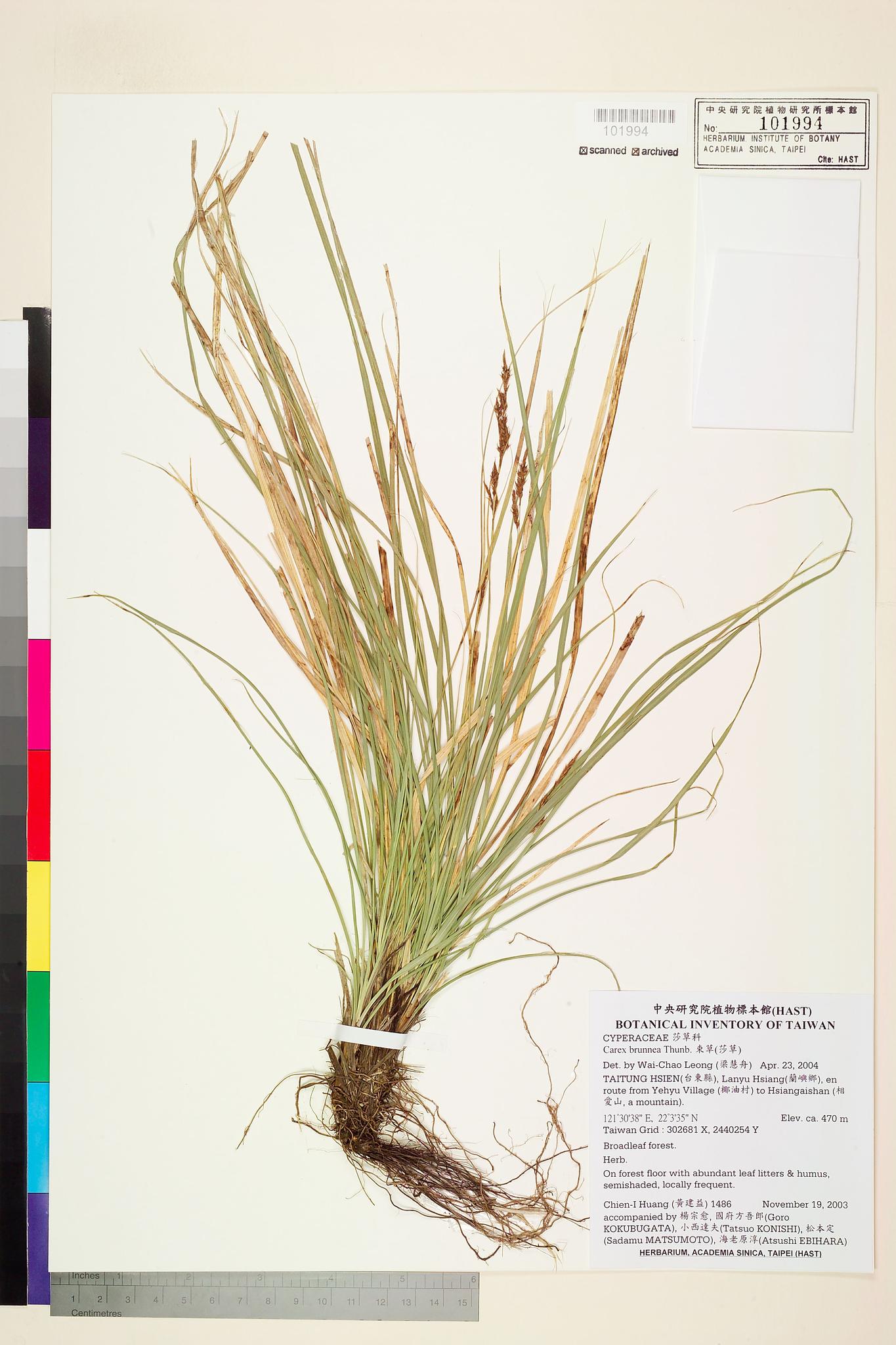 Sample image for viewer