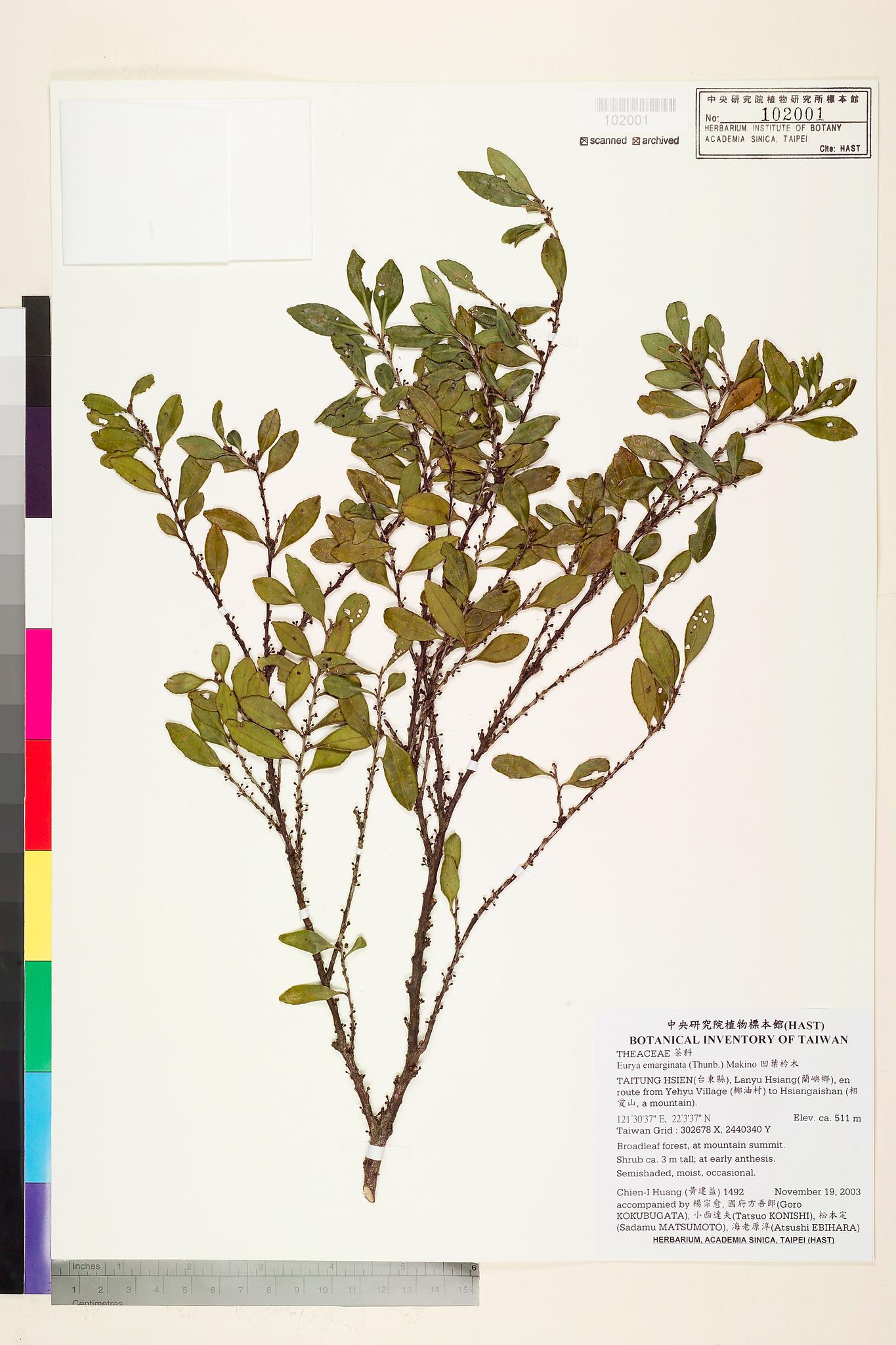 Sample image for viewer