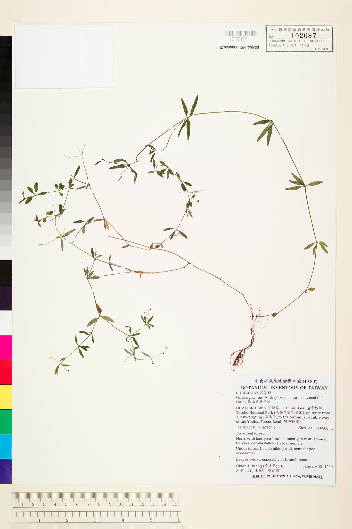 Sample image for viewer