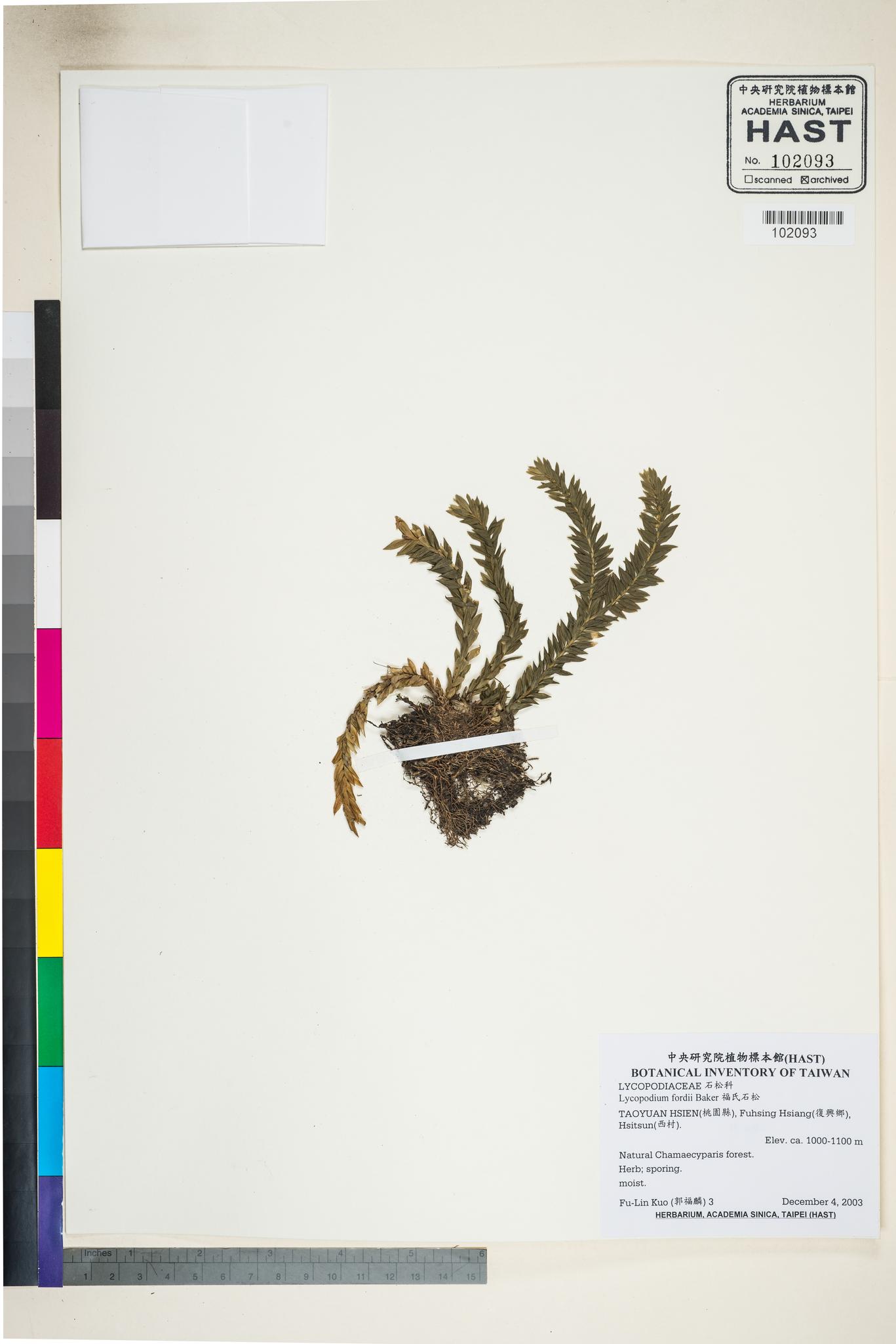 Sample image for viewer