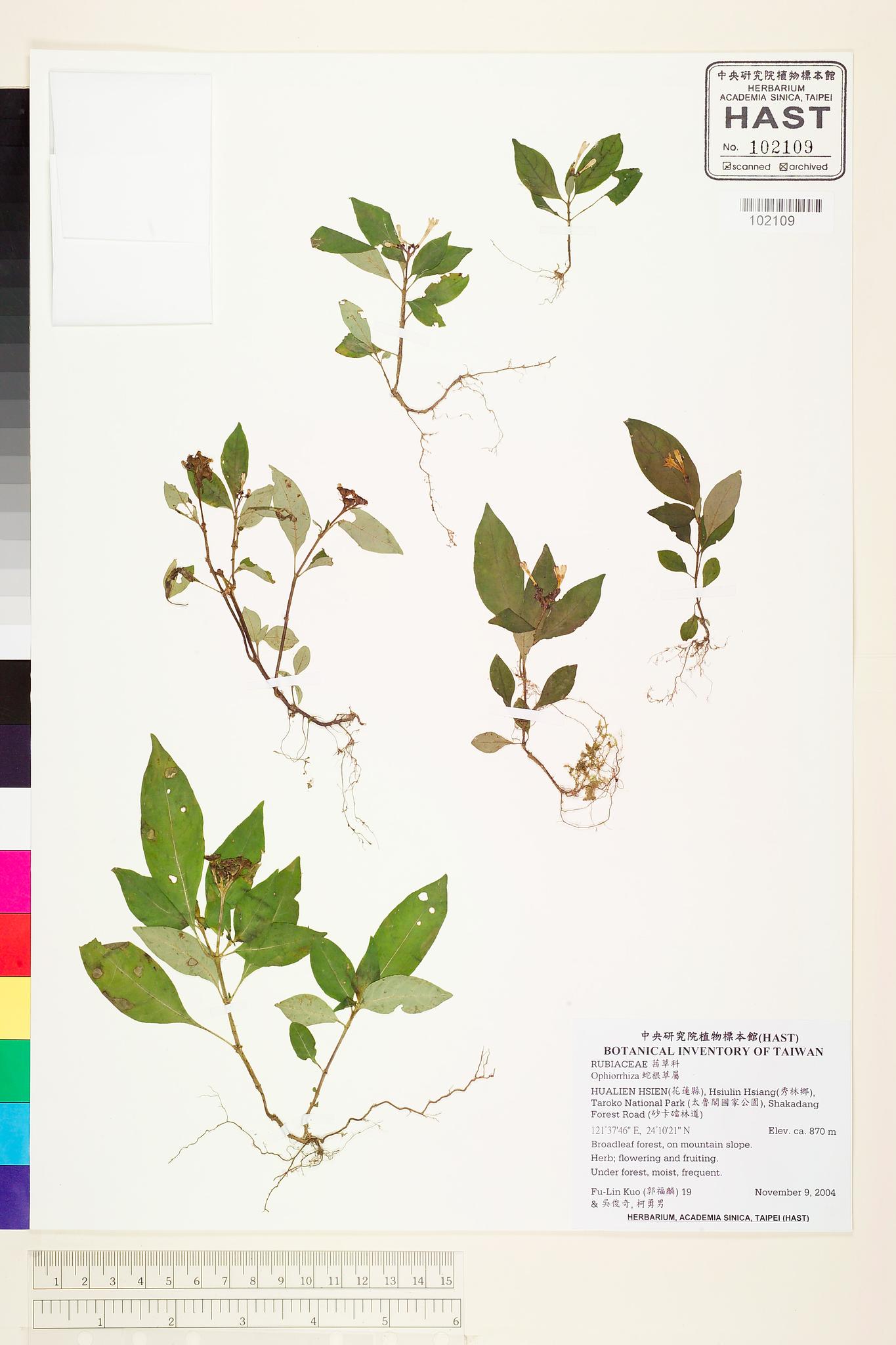 Sample image for viewer