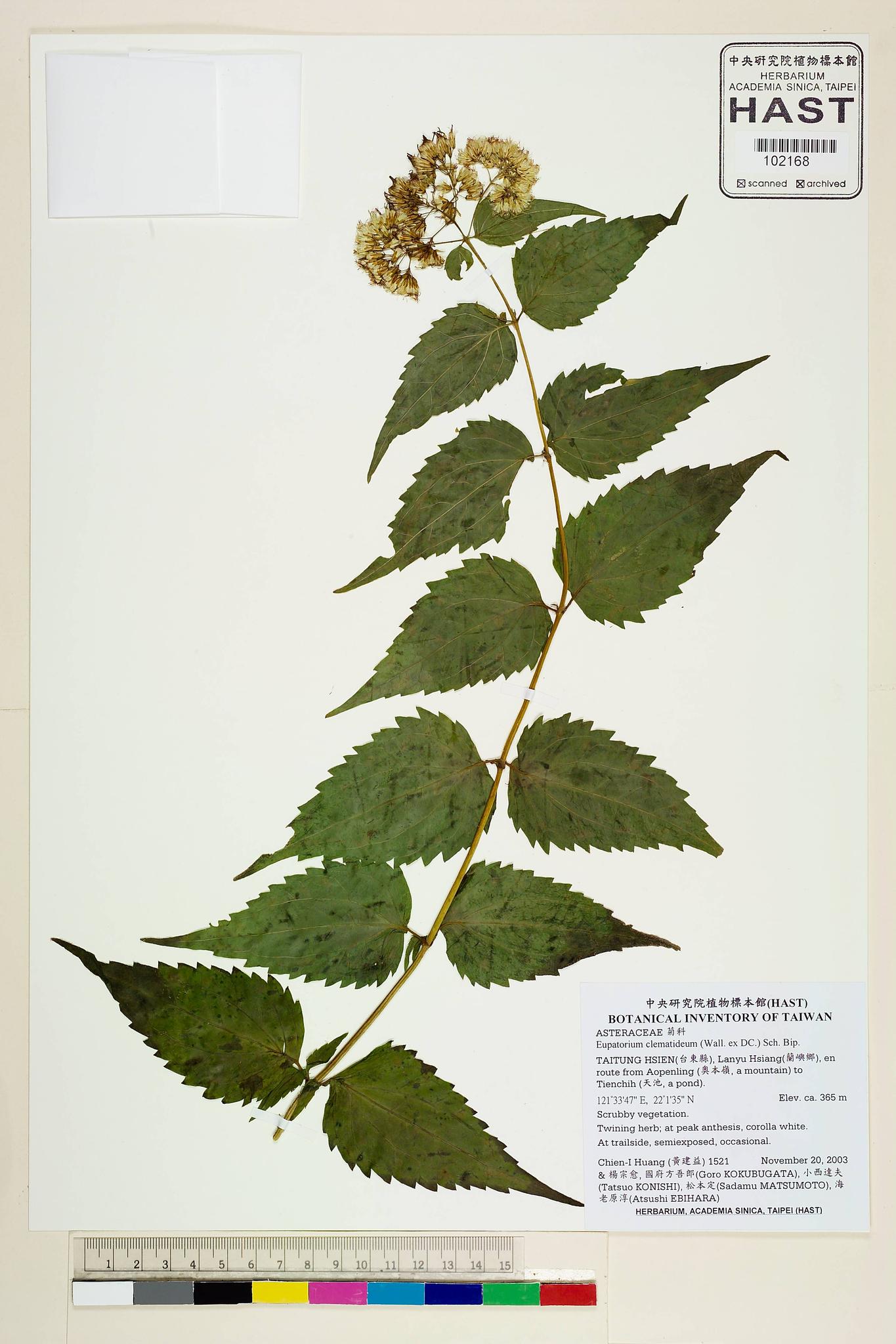 Sample image for viewer