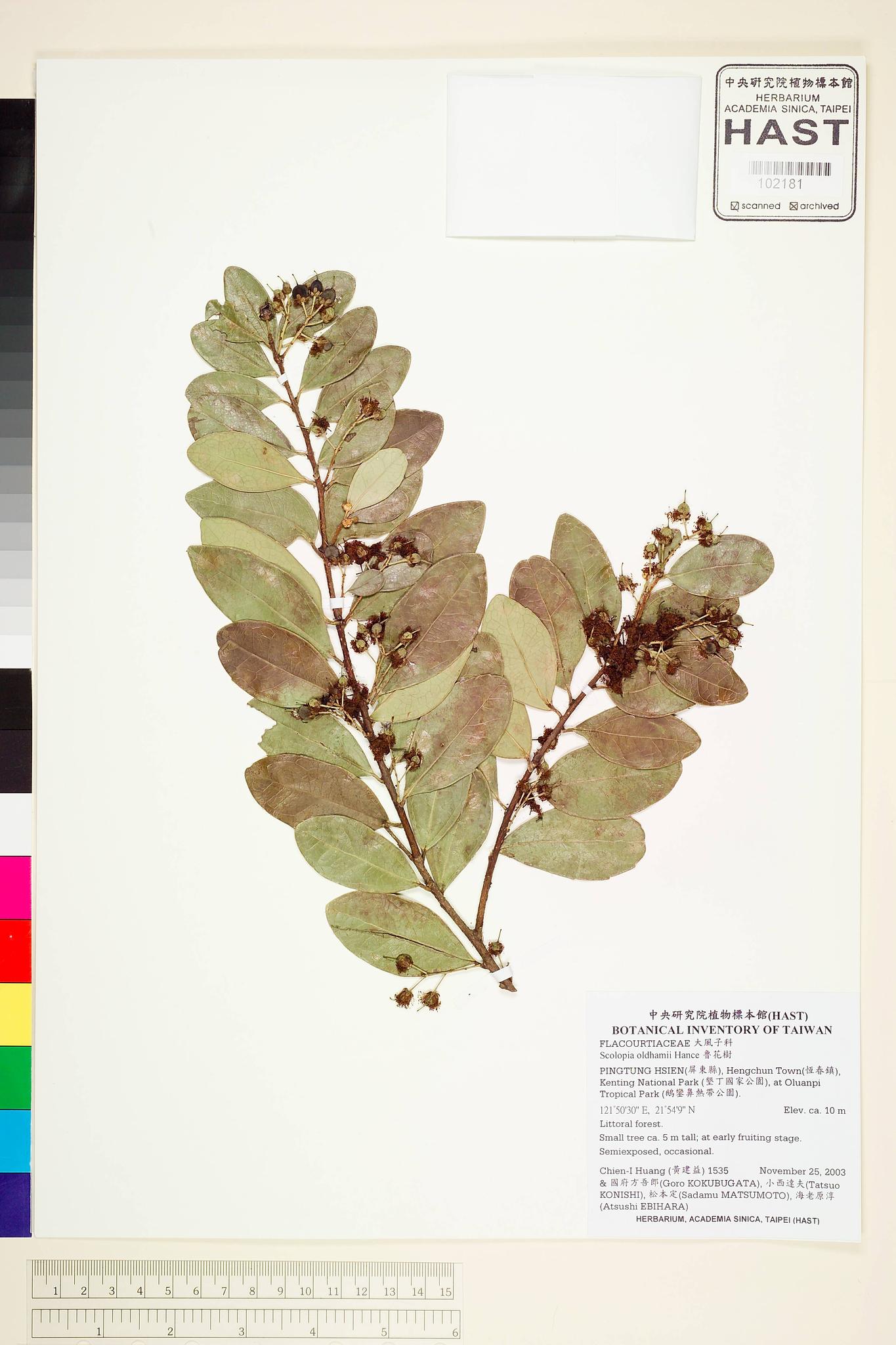 Specimen image