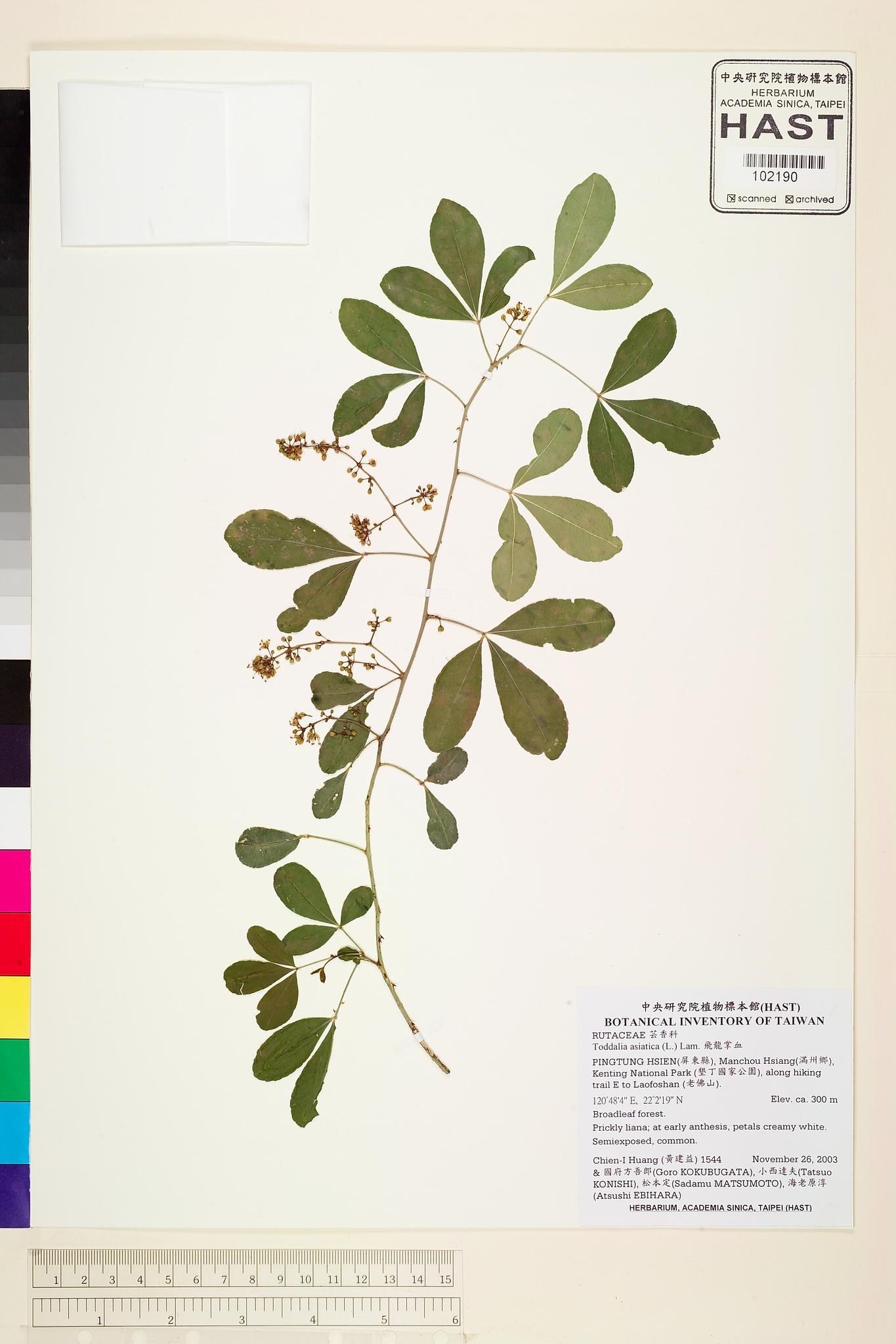 Sample image for viewer