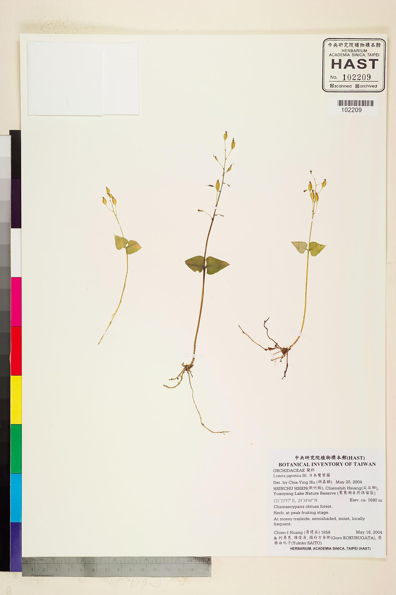 Sample image for viewer