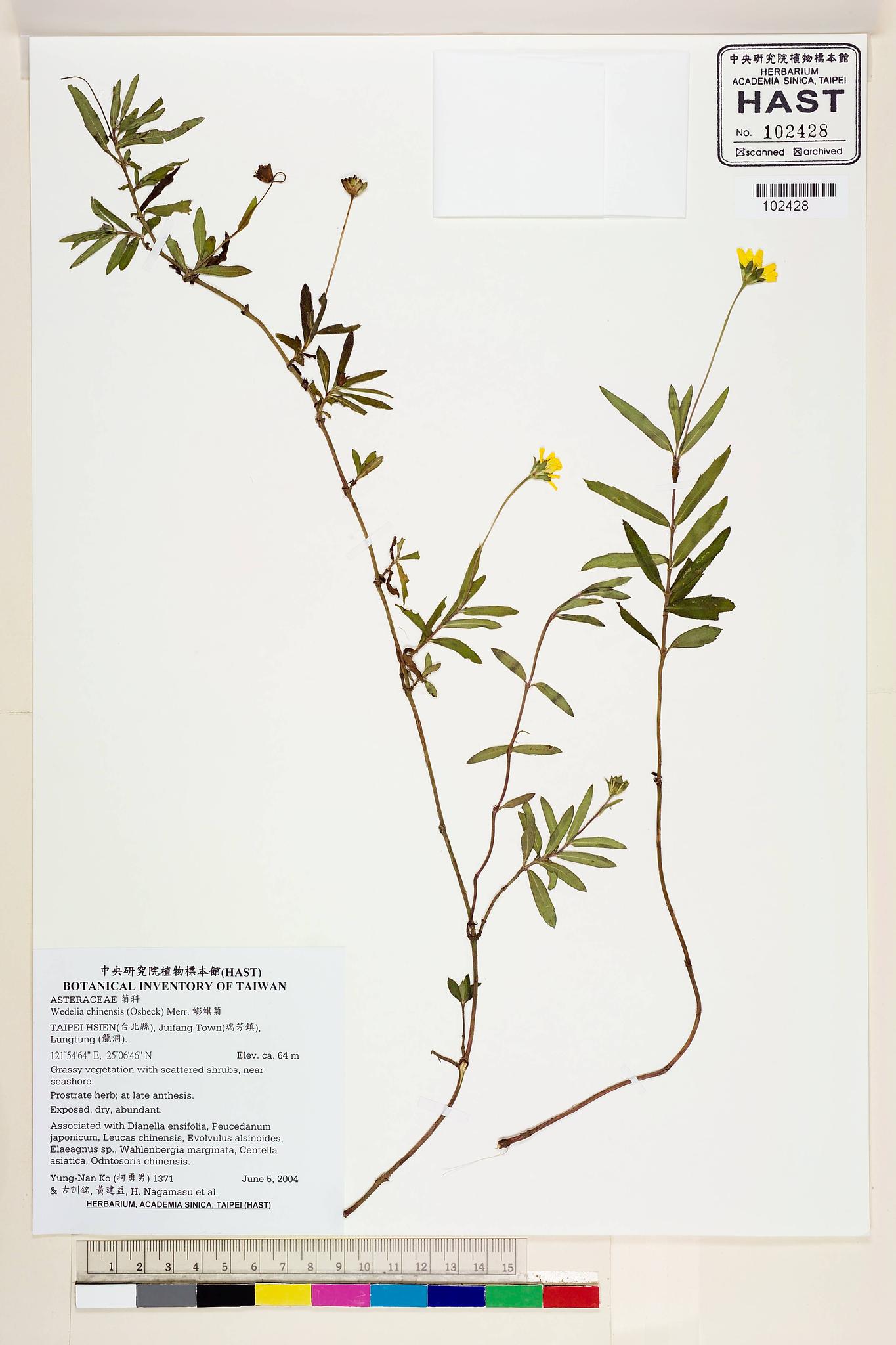 Sample image for viewer