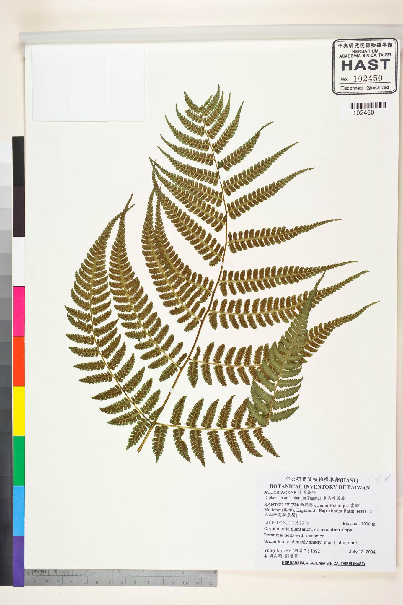 Sample image for viewer