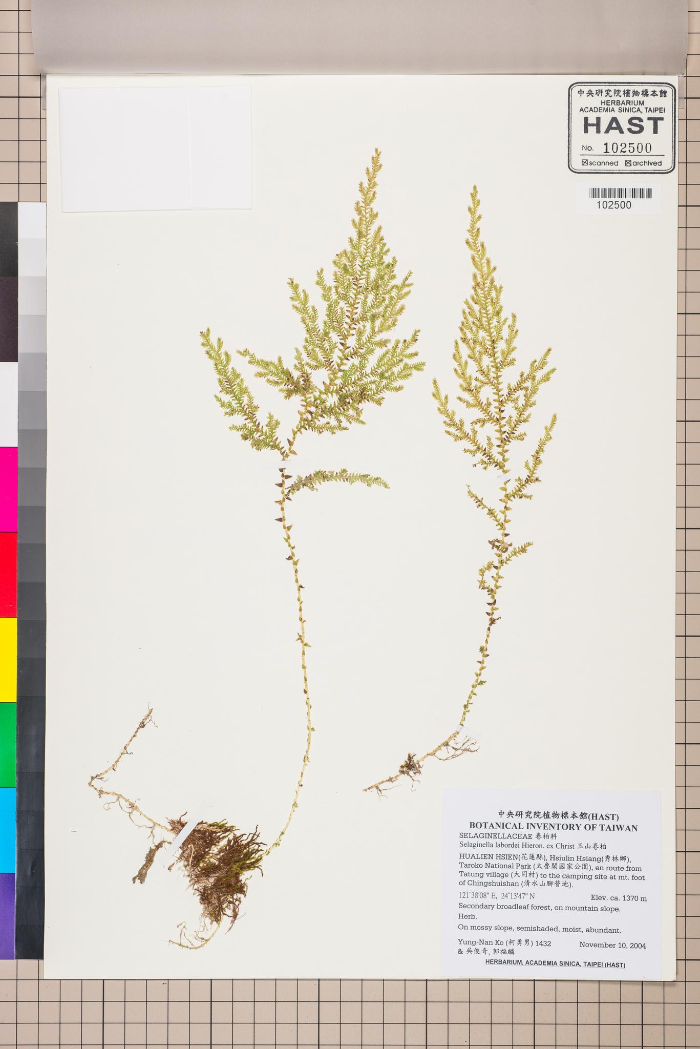 Sample image for viewer