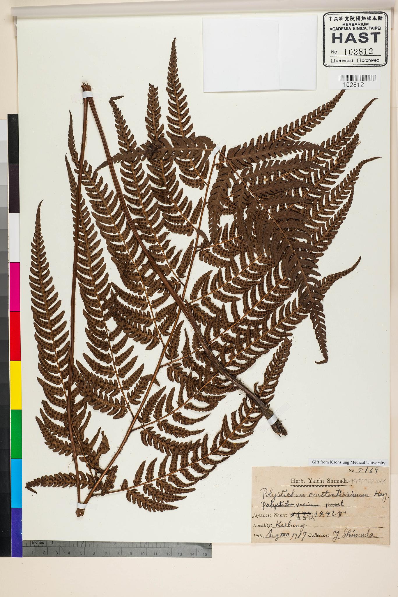 Sample image for viewer