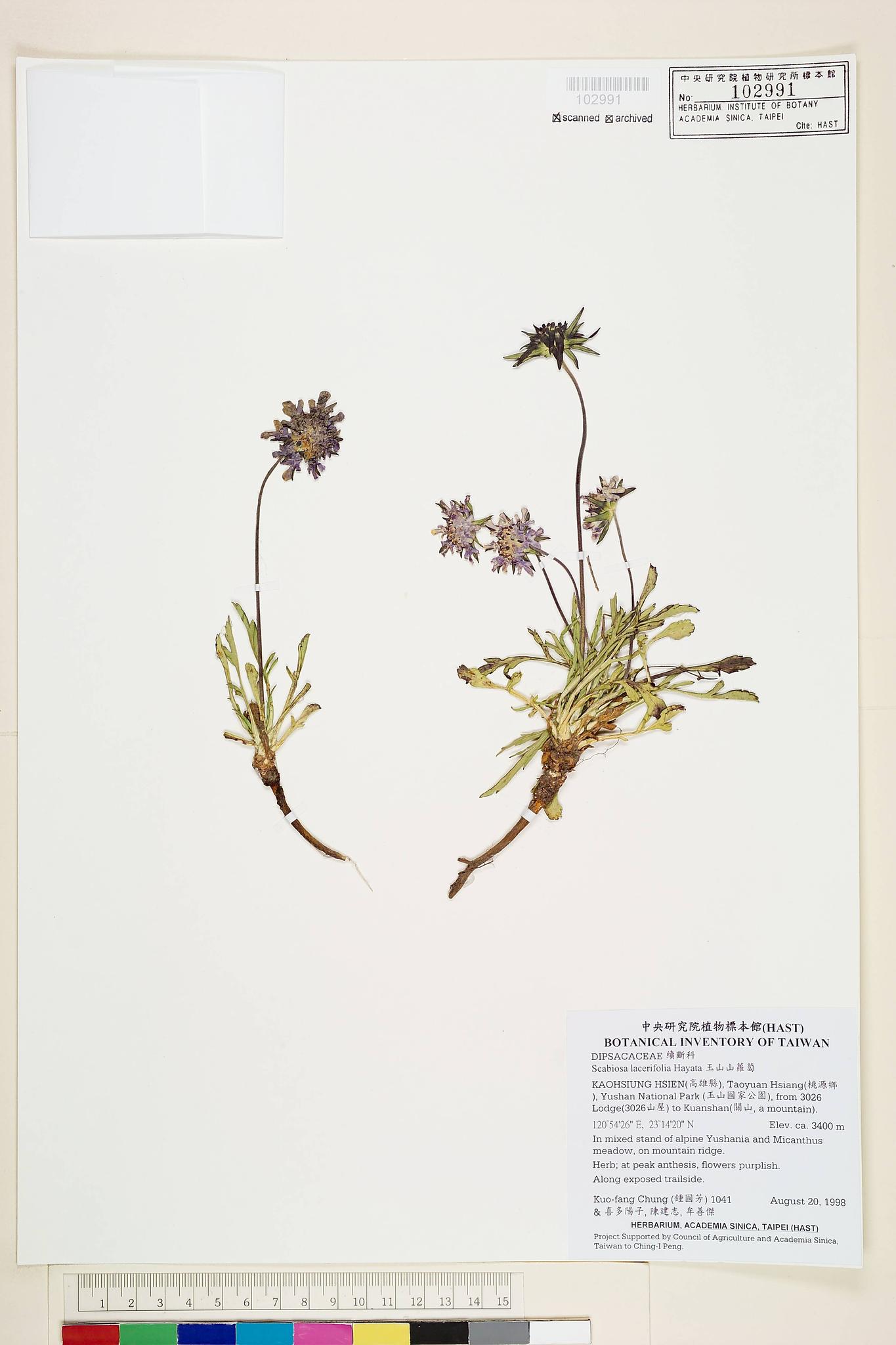 Sample image for viewer